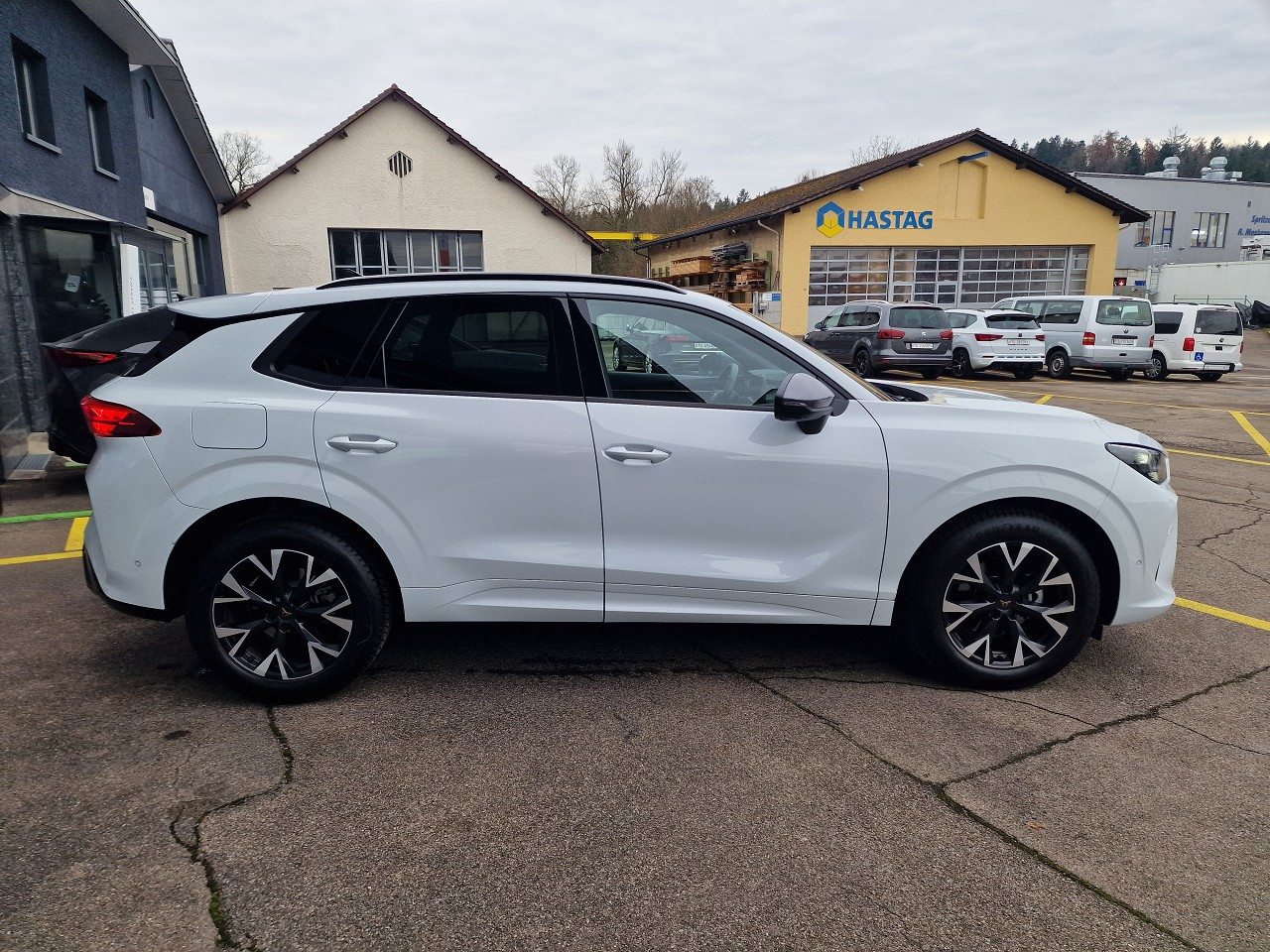 CUPRA TERRAMAR, Benzina, Occasioni / Usate, Automatico - 7