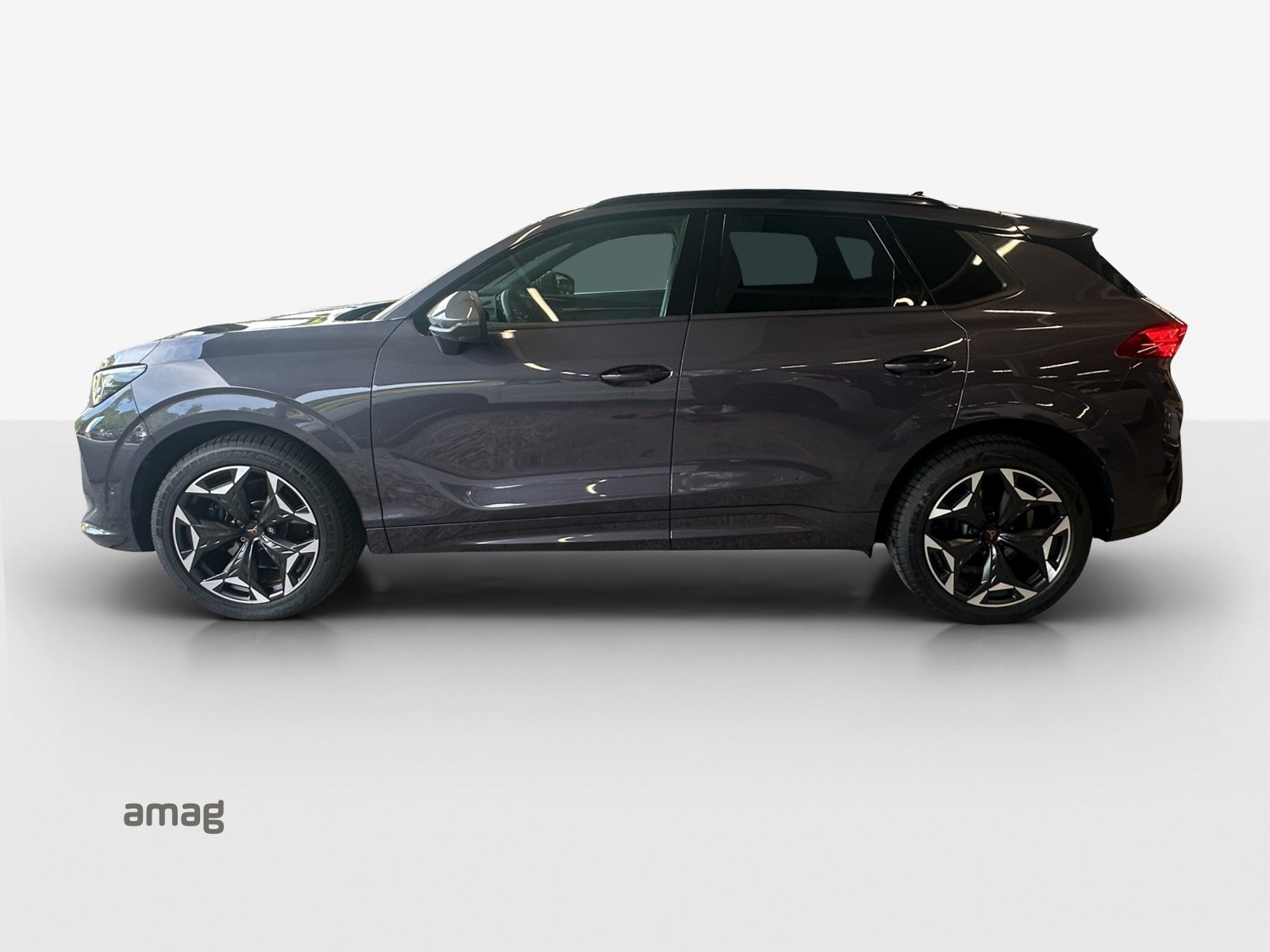 CUPRA TERRAMAR 4DRIVE, Benzin, Occasion / Gebraucht, Automatik - 2
