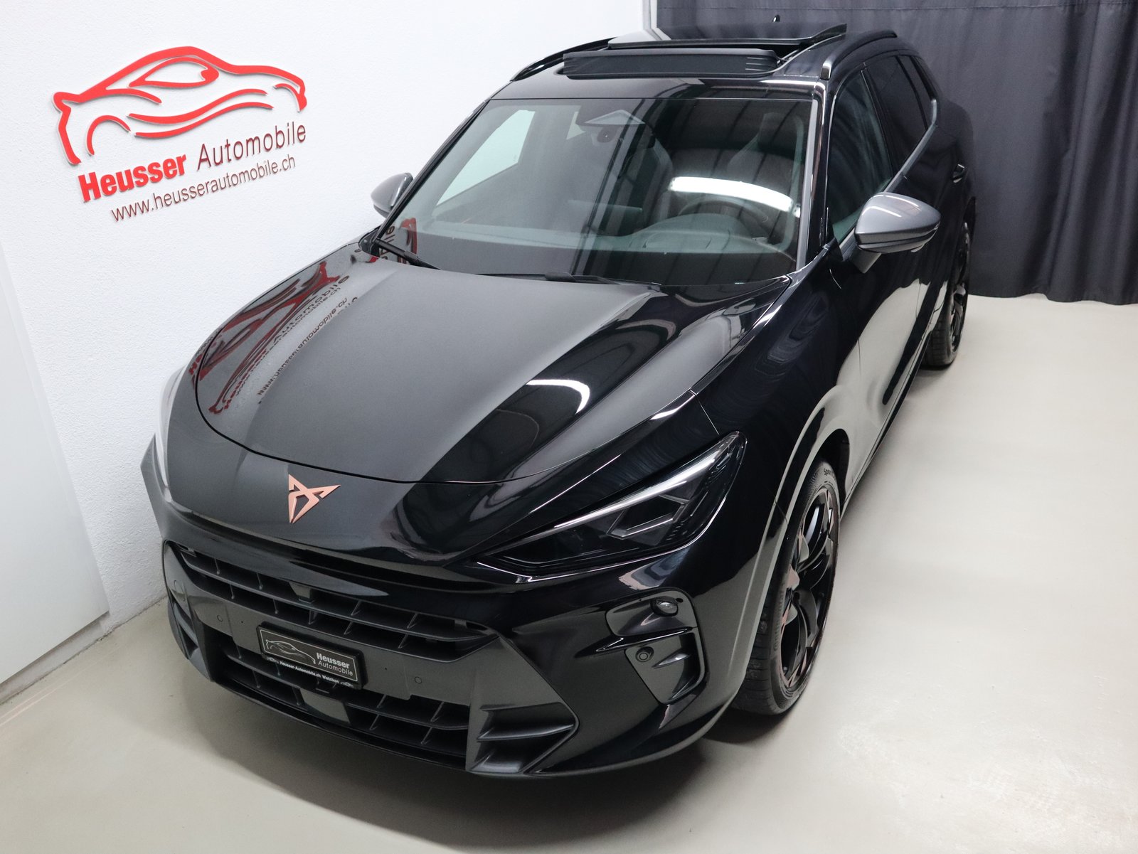 CUPRA Terramar 2.0 TSI DSG 4Drive VZ - Panorama - Navi - Hea, Benzin, Occasion / Gebraucht, Automatik - 3