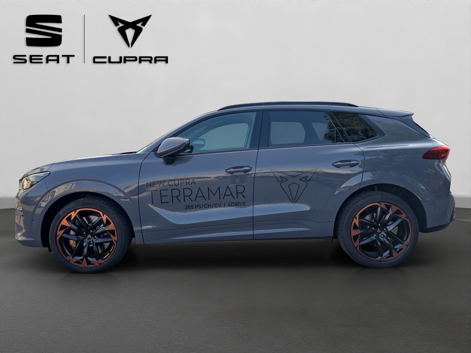 CUPRA Terramar 2.0 TSI DSG 4Drive VZ, Benzina, Occasioni / Usate, Automatico - 2