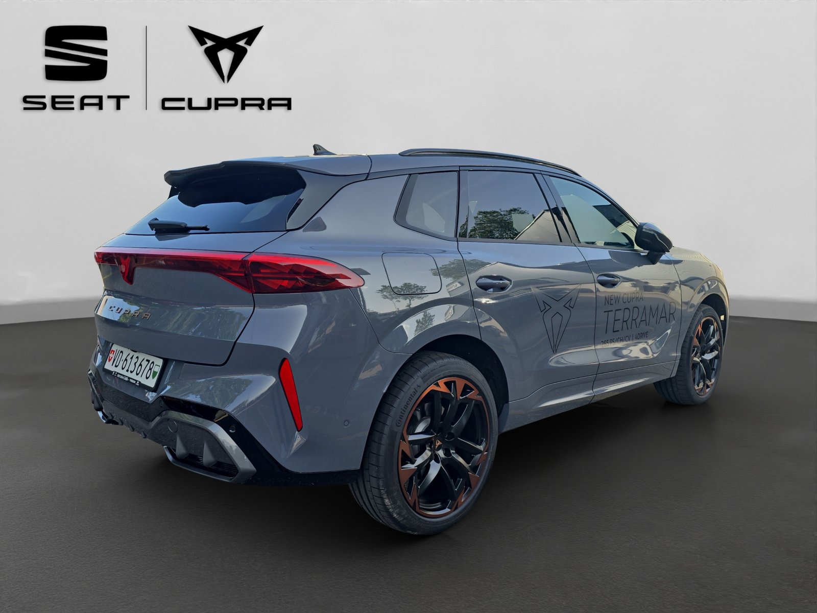 CUPRA Terramar 2.0 TSI DSG 4Drive VZ, Benzina, Occasioni / Usate, Automatico - 5