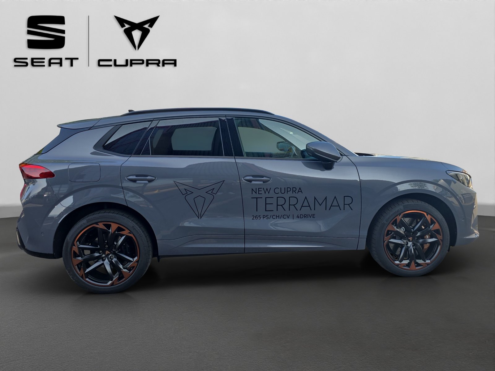 CUPRA Terramar 2.0 TSI DSG 4Drive VZ, Benzina, Occasioni / Usate, Automatico - 6