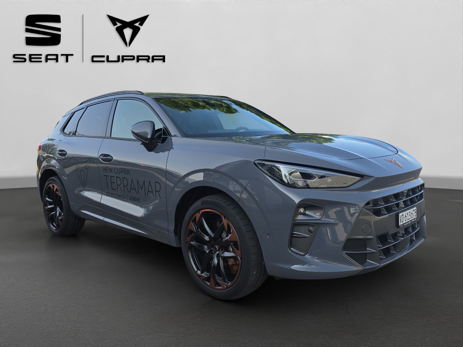 CUPRA Terramar 2.0 TSI DSG 4Drive VZ, Benzina, Occasioni / Usate, Automatico - 7