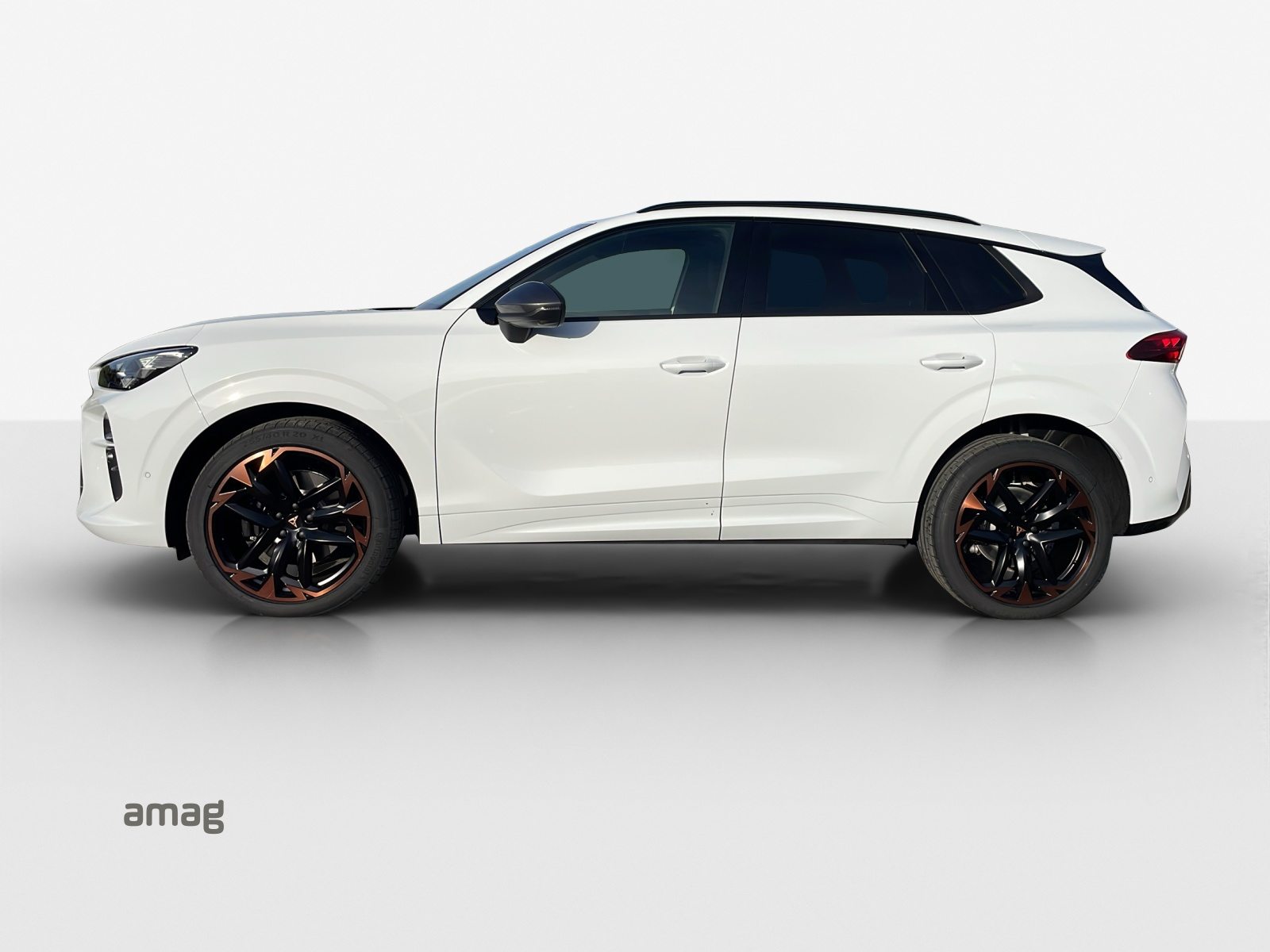 CUPRA TERRAMAR VZ 4DRIVE, Benzina, Occasioni / Usate, Automatico - 2