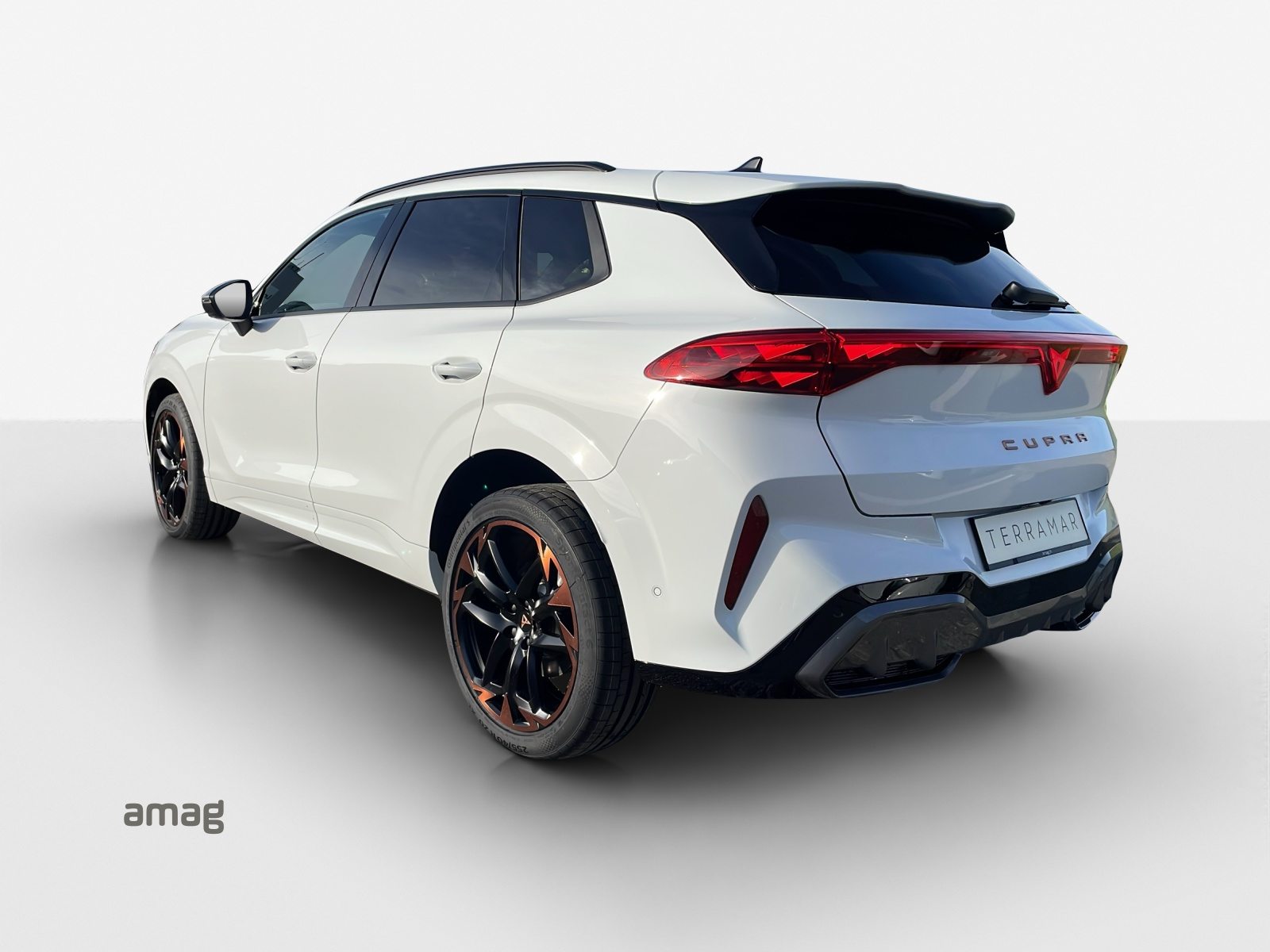 CUPRA TERRAMAR VZ 4DRIVE, Benzina, Occasioni / Usate, Automatico - 3