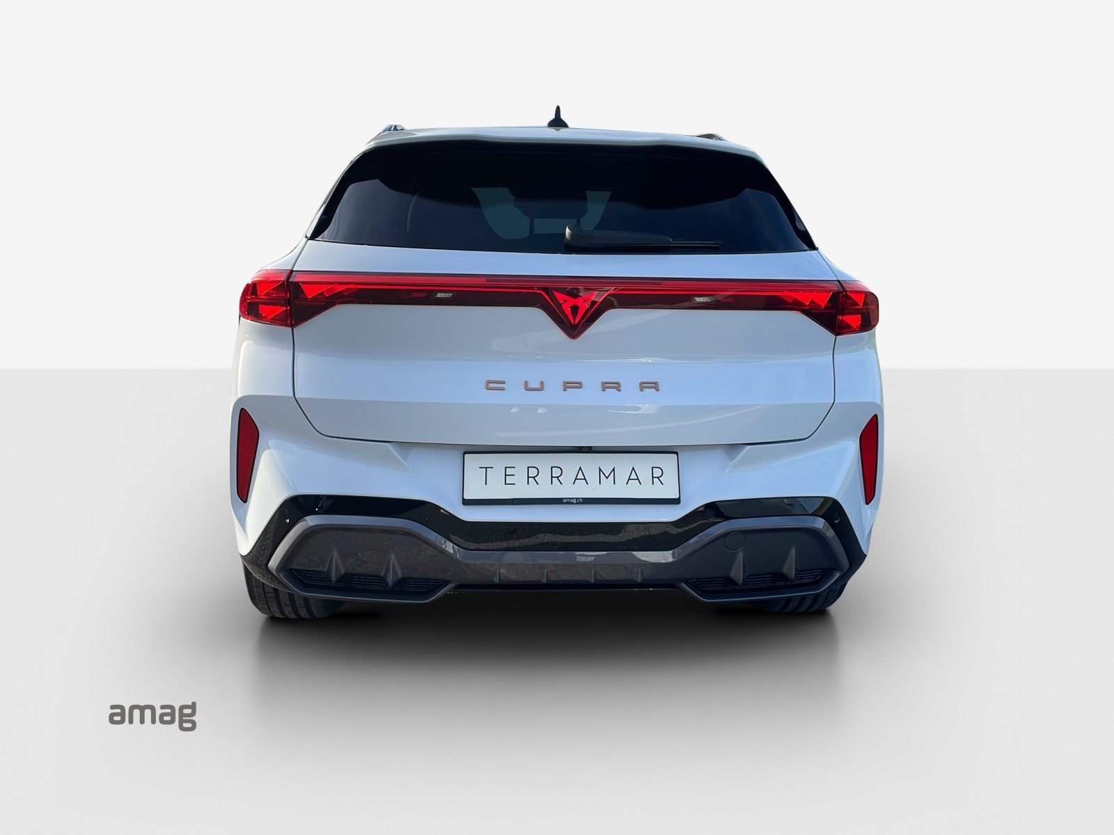 CUPRA TERRAMAR VZ 4DRIVE, Benzina, Occasioni / Usate, Automatico - 4