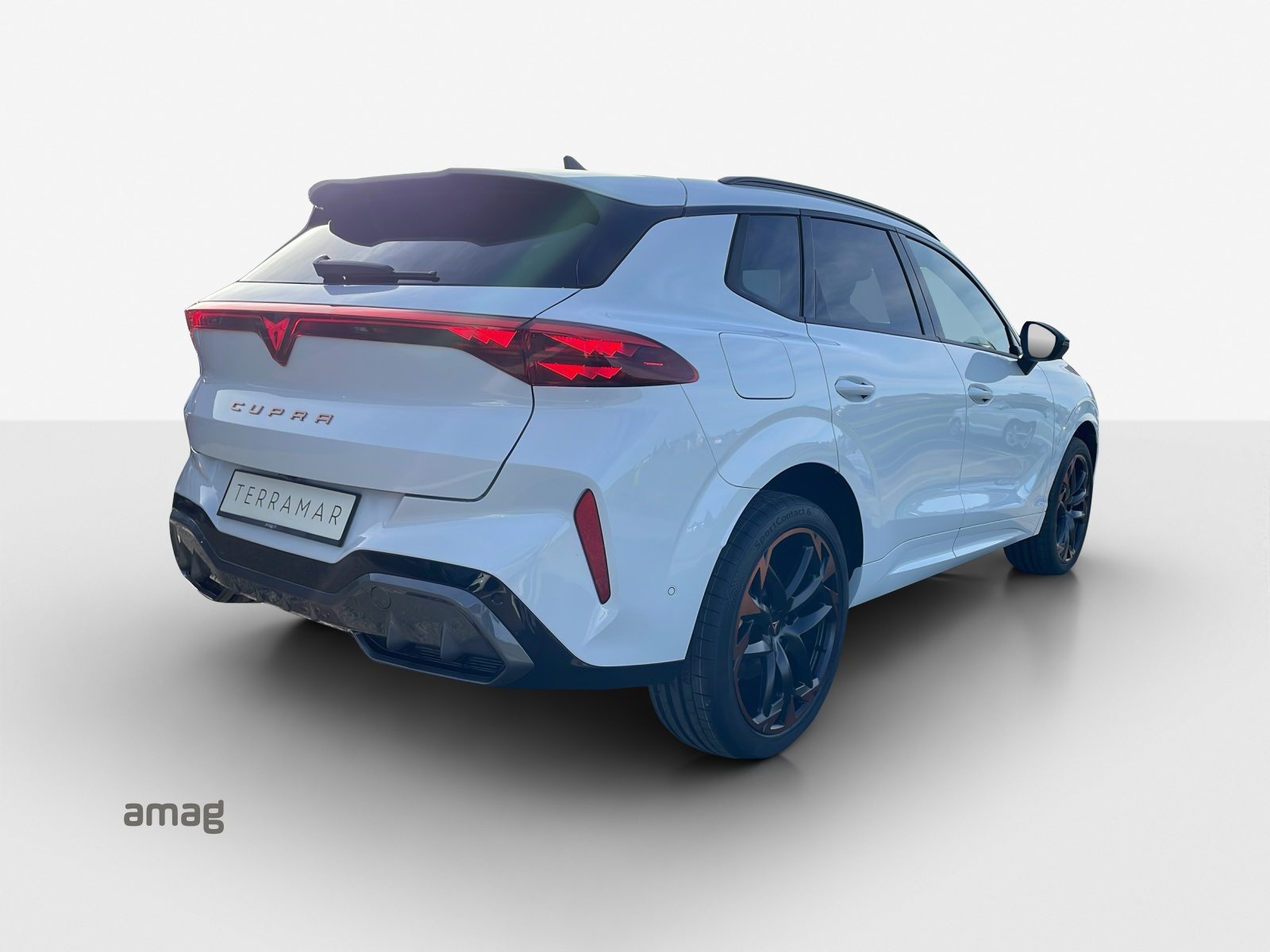 CUPRA TERRAMAR VZ 4DRIVE, Benzina, Occasioni / Usate, Automatico - 5