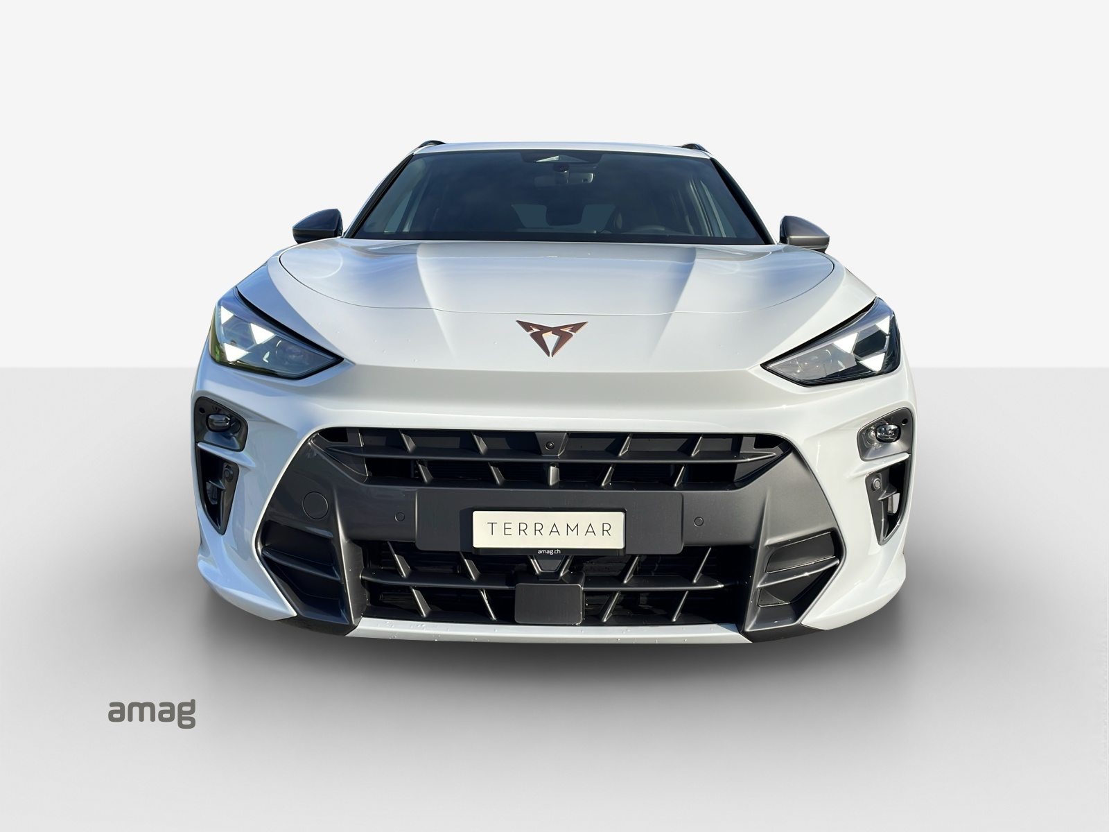 CUPRA TERRAMAR VZ 4DRIVE, Benzina, Occasioni / Usate, Automatico - 7