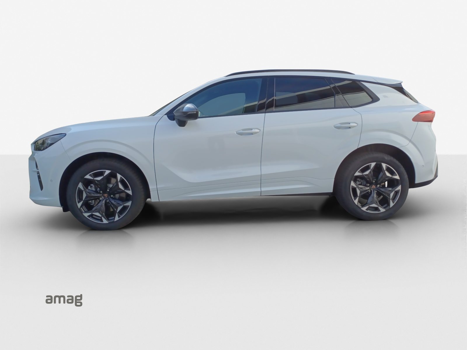 CUPRA TERRAMAR 4DRIVE BUSINESS EDITION, Benzina, Occasioni / Usate, Automatico - 2