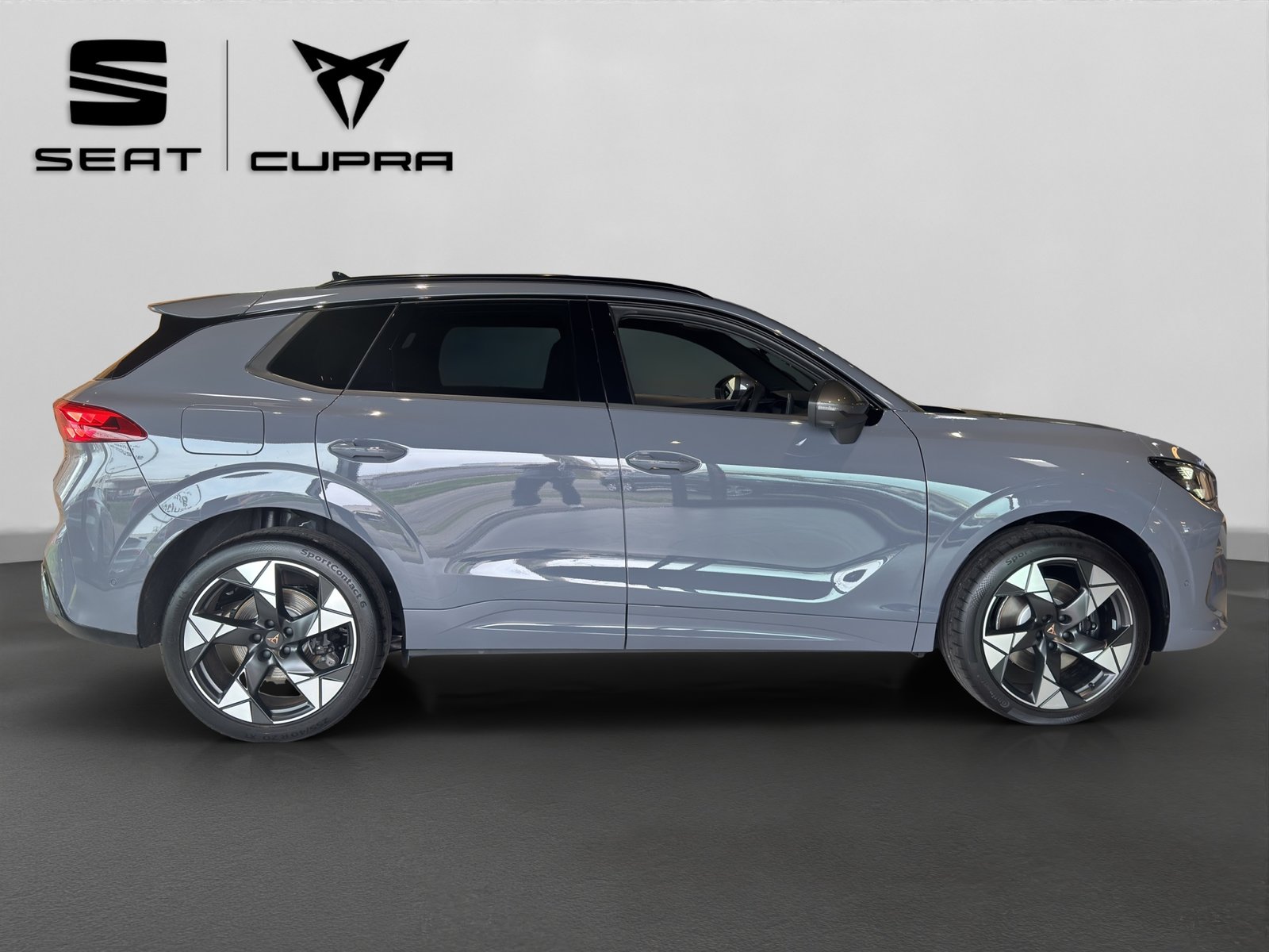 CUPRA Terramar 2.0 TSI DSG 4Drive VZ, Essence, Occasion / Utilisé, Automatique - 2