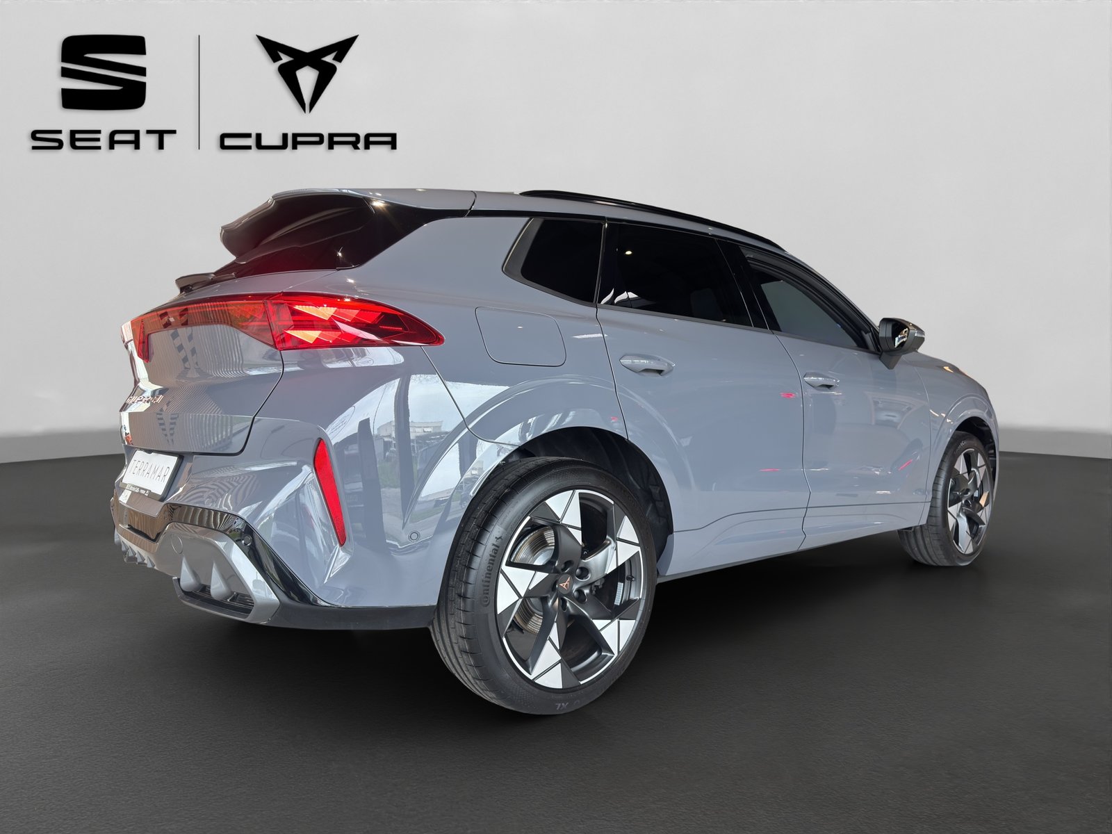 CUPRA Terramar 2.0 TSI DSG 4Drive VZ, Essence, Occasion / Utilisé, Automatique - 3