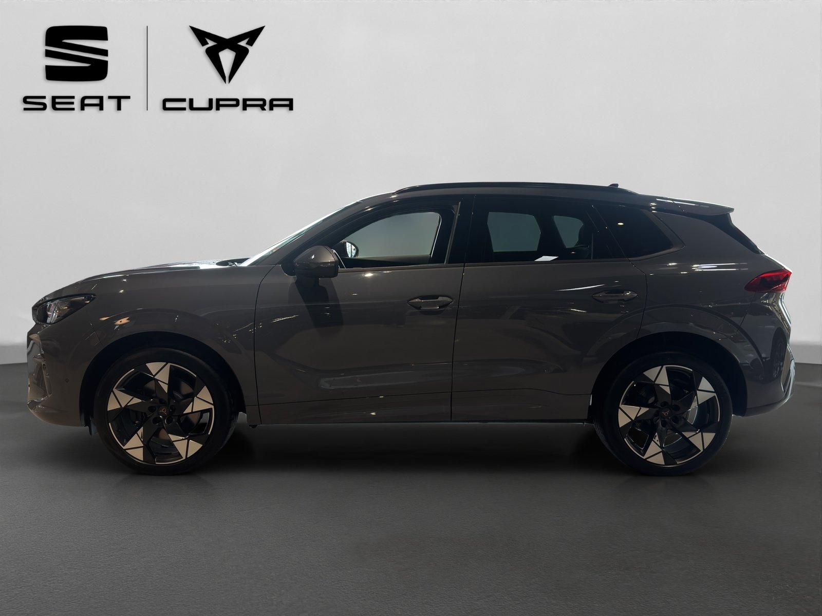 CUPRA Terramar 2.0 TSI DSG 4Drive VZ, Essence, Occasion / Utilisé, Automatique - 6