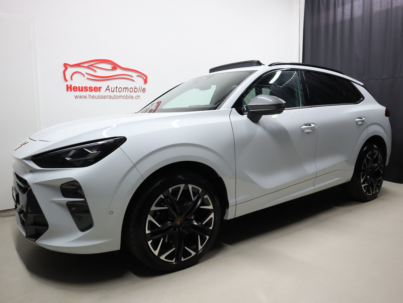 CUPRA Terramar 2.0 TSI DSG 4Drive VZ - Panorama - Navi - Hea, Petrol, Second hand / Used, Automatic - 2