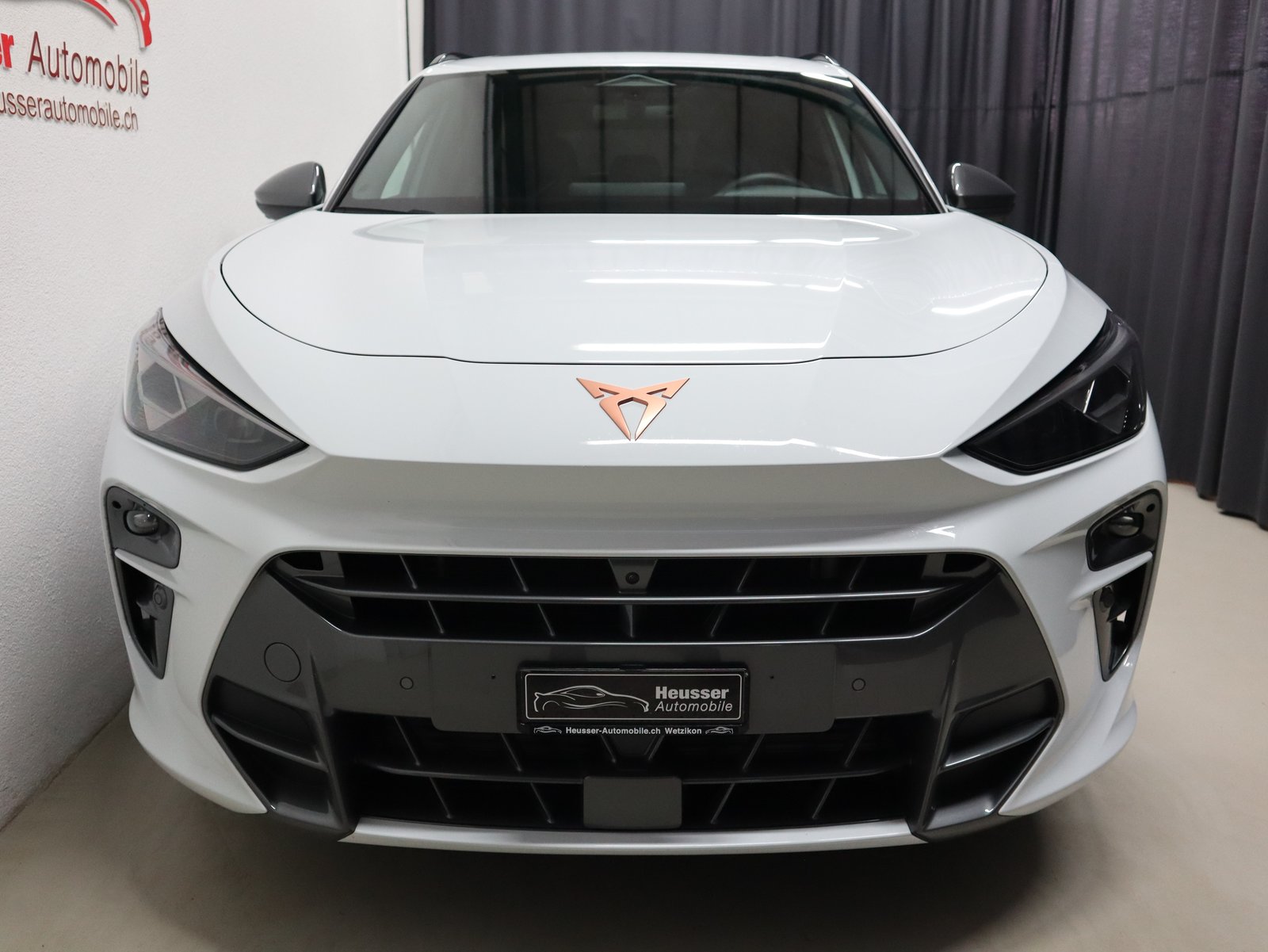 CUPRA Terramar 2.0 TSI DSG 4Drive VZ - Panorama - Navi - Hea, Petrol, Second hand / Used, Automatic - 7