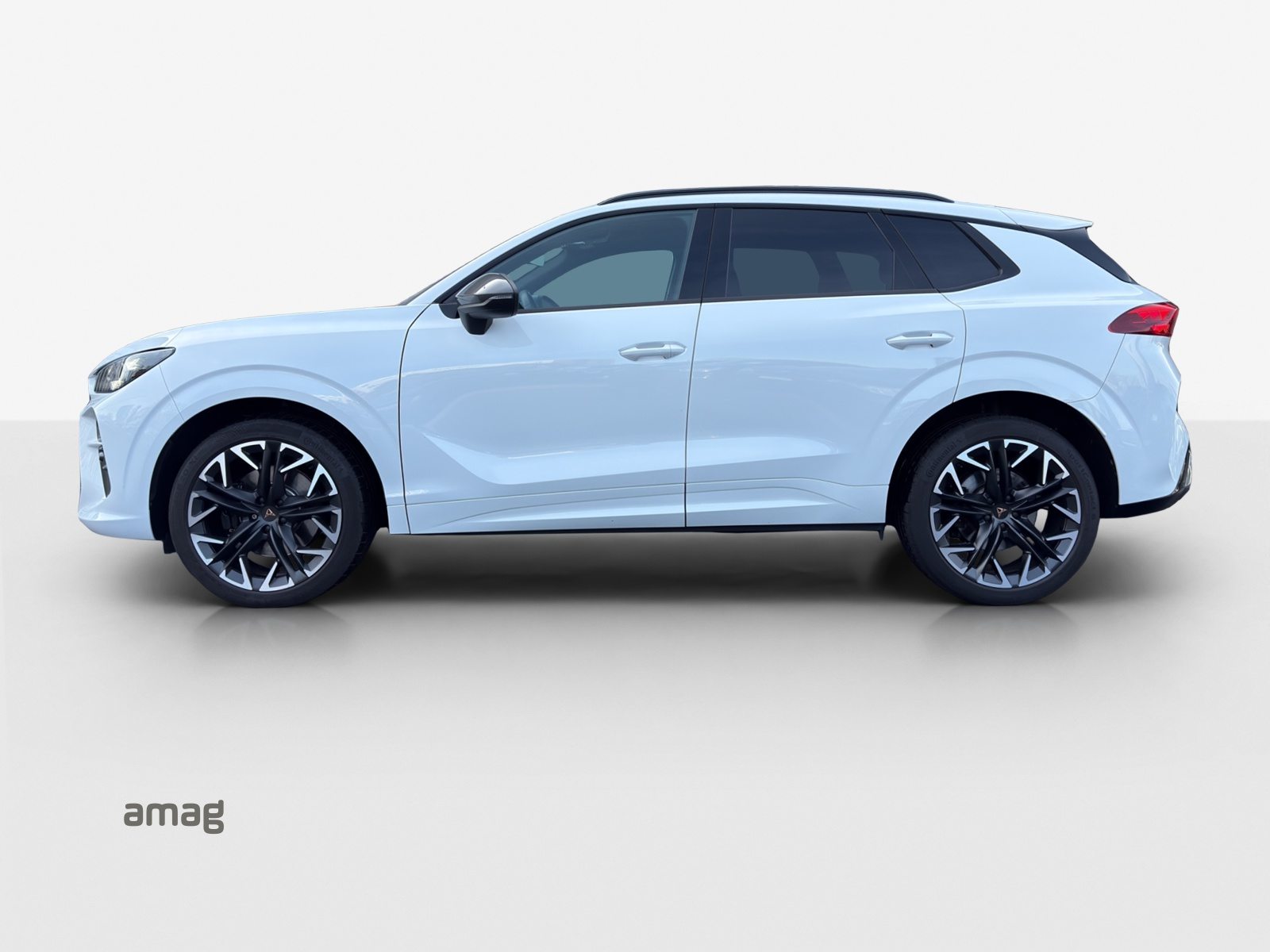 CUPRA TERRAMAR 4DRIVE, Benzina, Occasioni / Usate, Automatico - 2