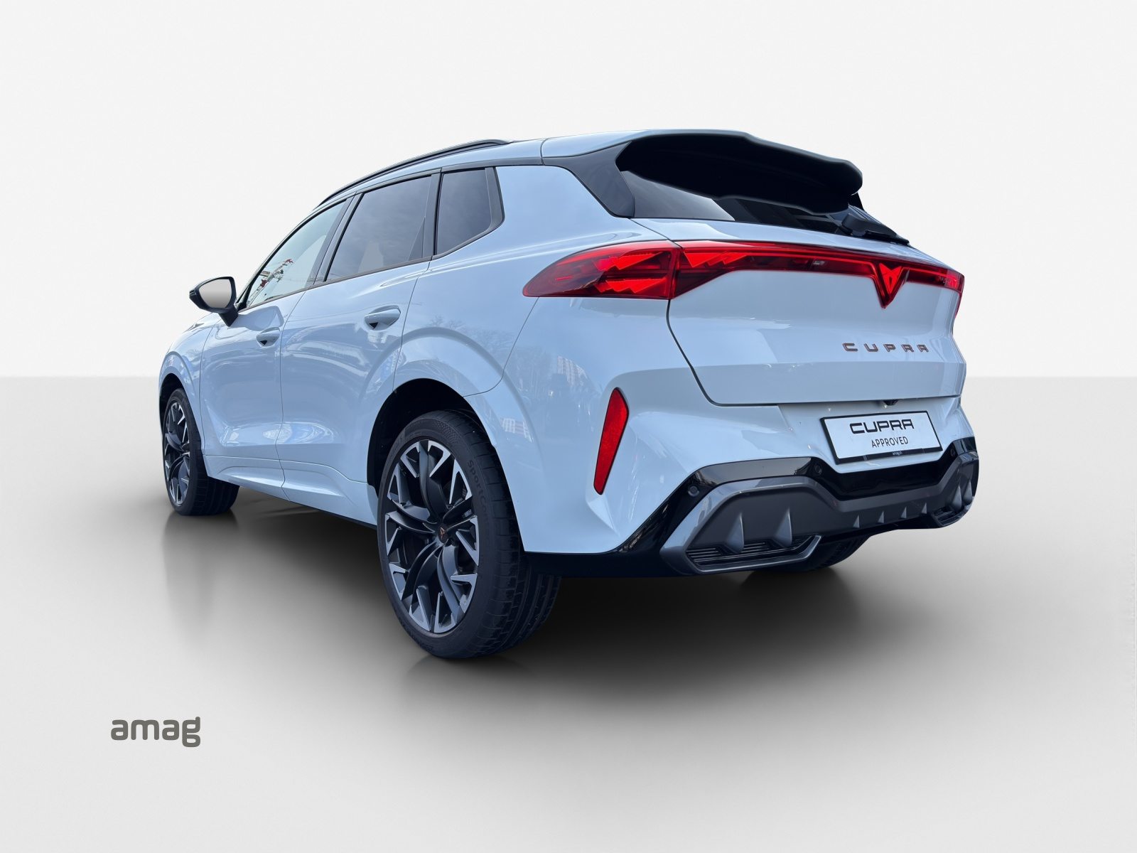 CUPRA TERRAMAR 4DRIVE, Benzina, Occasioni / Usate, Automatico - 3