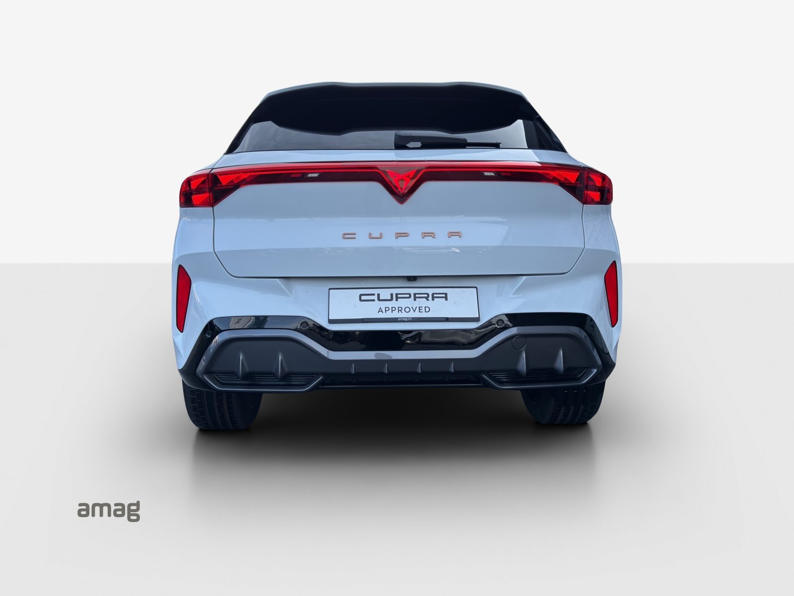 CUPRA TERRAMAR 4DRIVE, Benzina, Occasioni / Usate, Automatico - 4