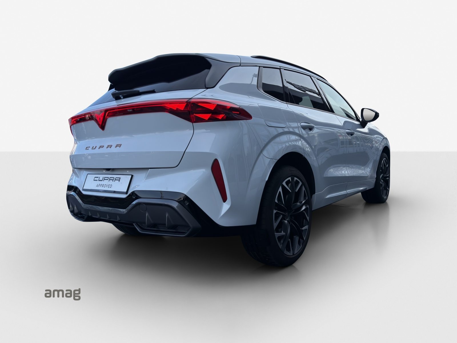CUPRA TERRAMAR 4DRIVE, Benzina, Occasioni / Usate, Automatico - 5