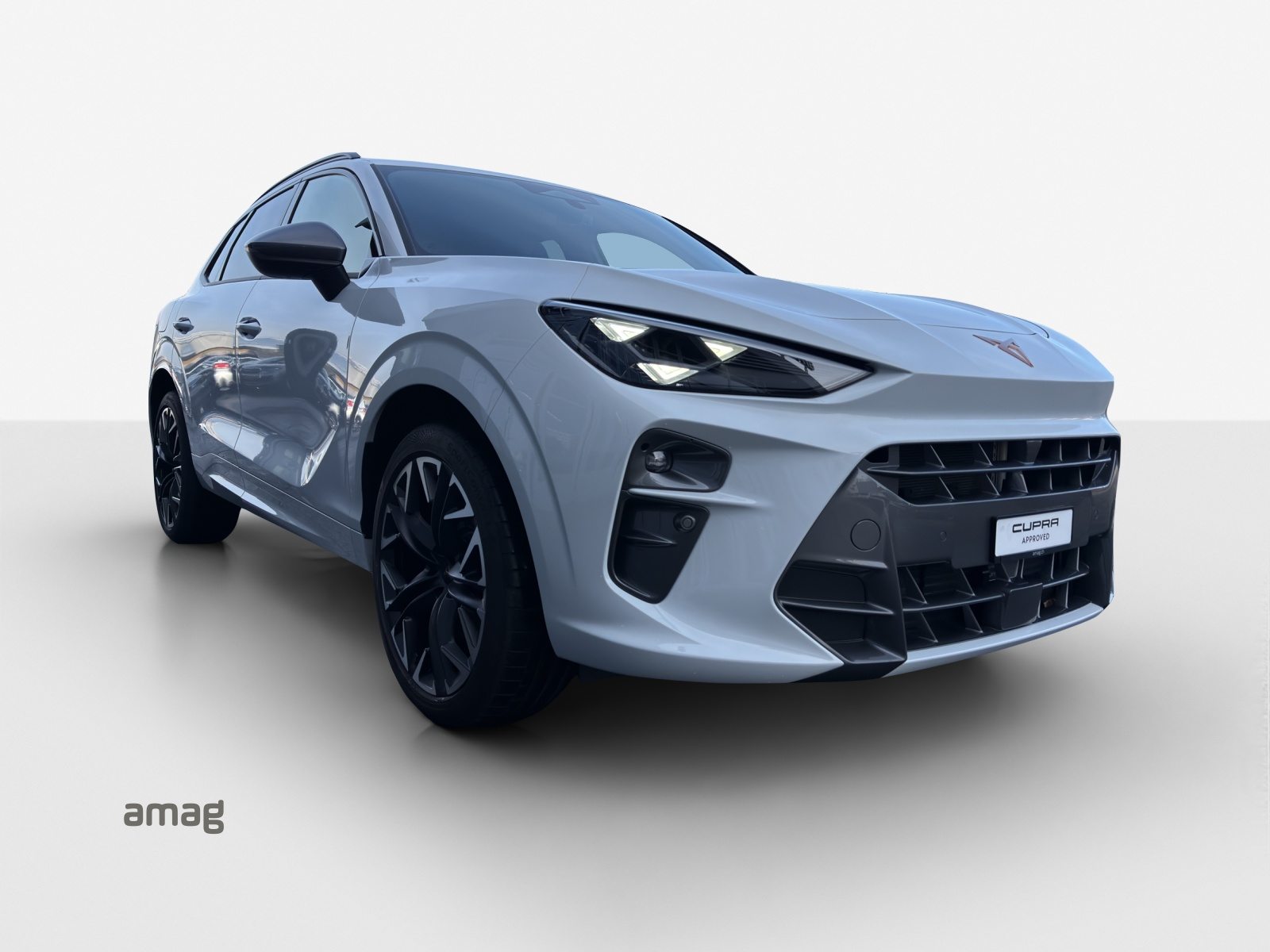 CUPRA TERRAMAR 4DRIVE, Benzina, Occasioni / Usate, Automatico - 6