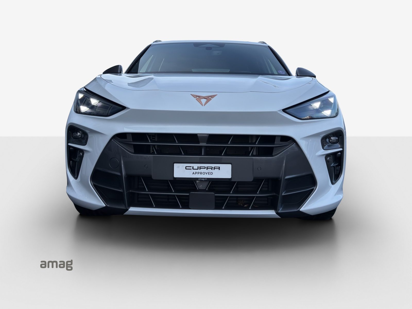 CUPRA TERRAMAR 4DRIVE, Benzina, Occasioni / Usate, Automatico - 7
