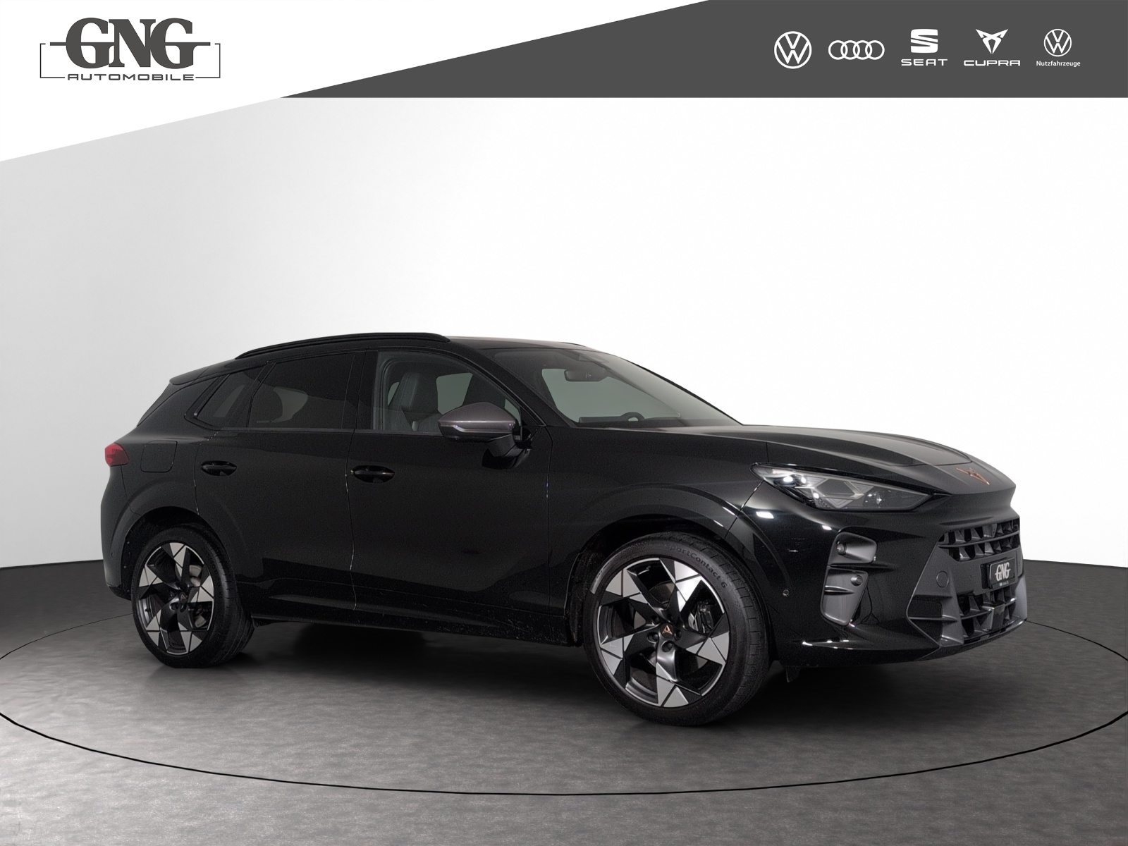 CUPRA TERRAMAR 4DRIVE, Benzina, Occasioni / Usate, Automatico - 4