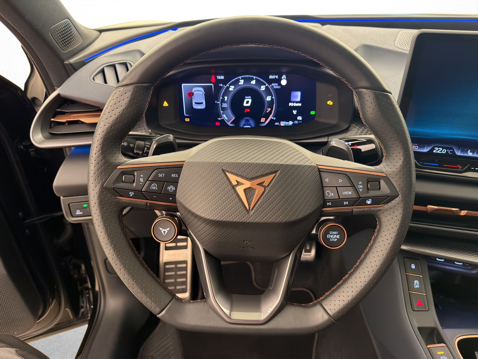 CUPRA Terramar 2.0 TSI VZ 4Drive DSG, Essence, Occasion / Utilisé, Automatique - 6