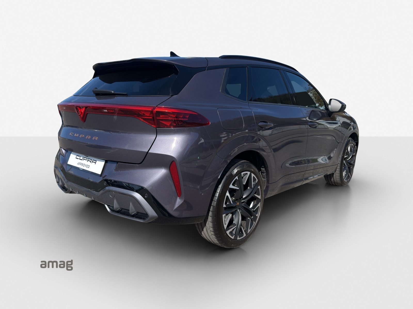 CUPRA TERRAMAR 4DRIVE, Benzin, Occasion / Gebraucht, Automatik - 5