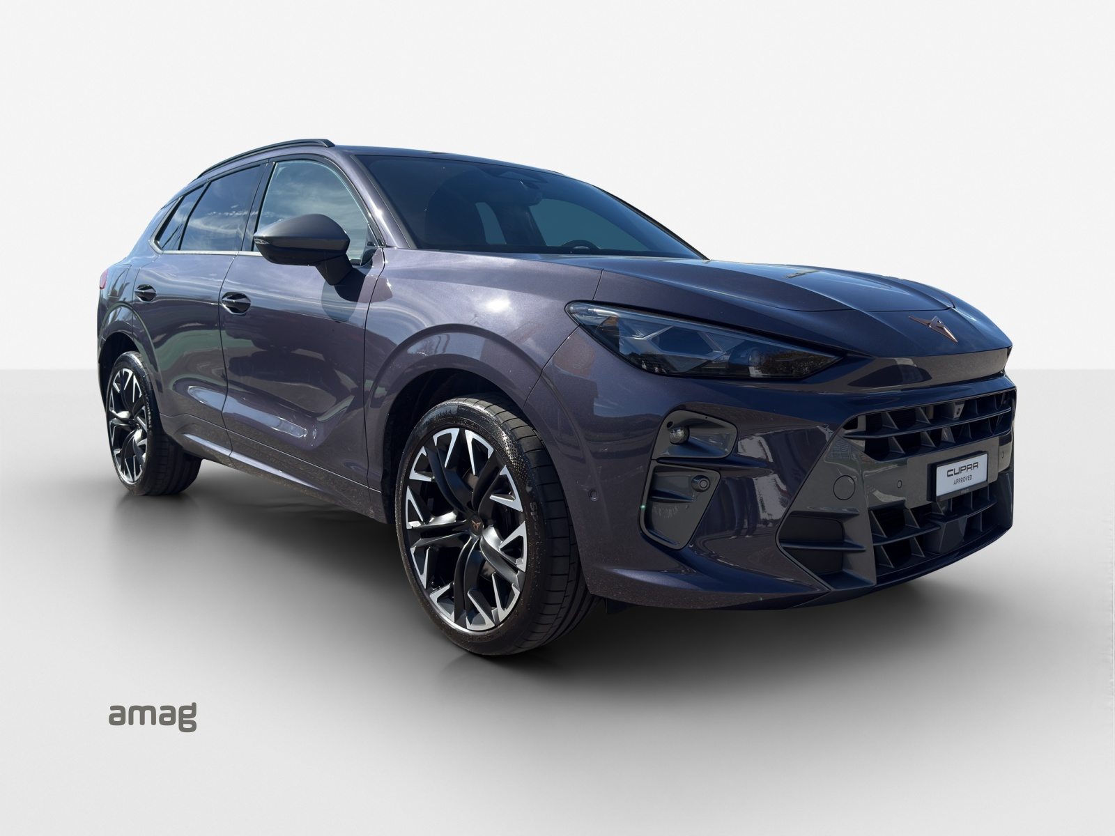 CUPRA TERRAMAR 4DRIVE, Benzin, Occasion / Gebraucht, Automatik - 6