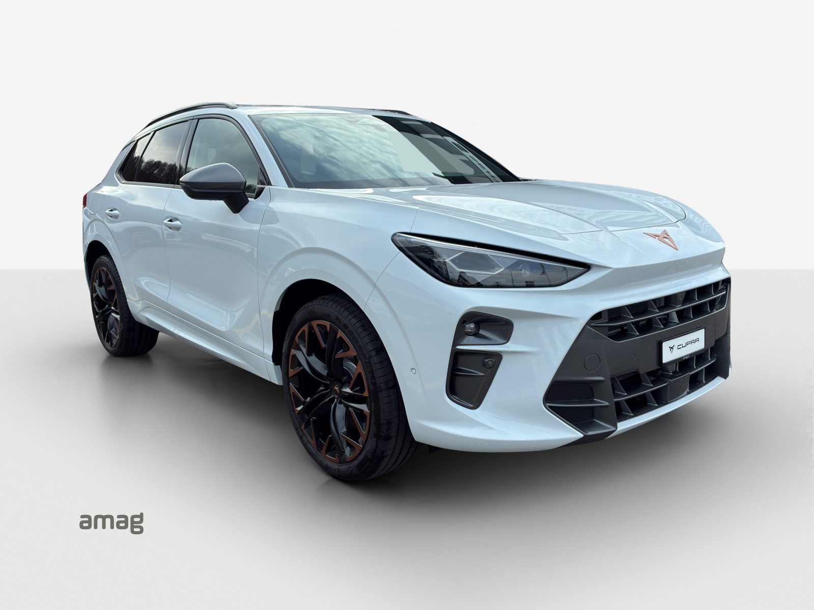 CUPRA TERRAMAR VZ e-HYBRID PRIME EDITION, Hybride Integrale Benzina/Elettrica, Occasioni / Usate, Automatico - 6