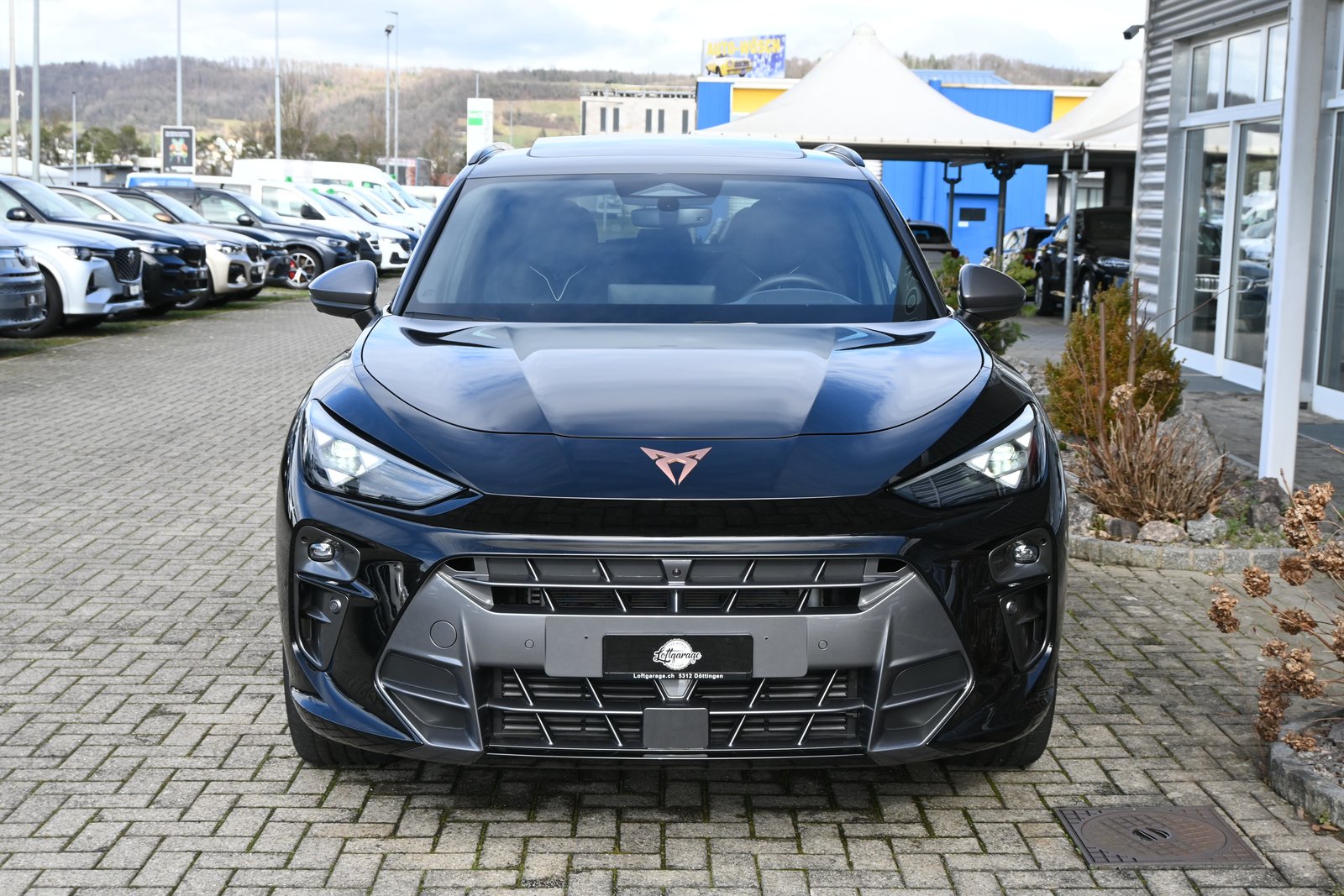 CUPRA Terramar 2.0 TSI DSG 4Drive VZ 265PS + AHK für 2200kg, Benzina, Occasioni / Usate, Automatico - 3