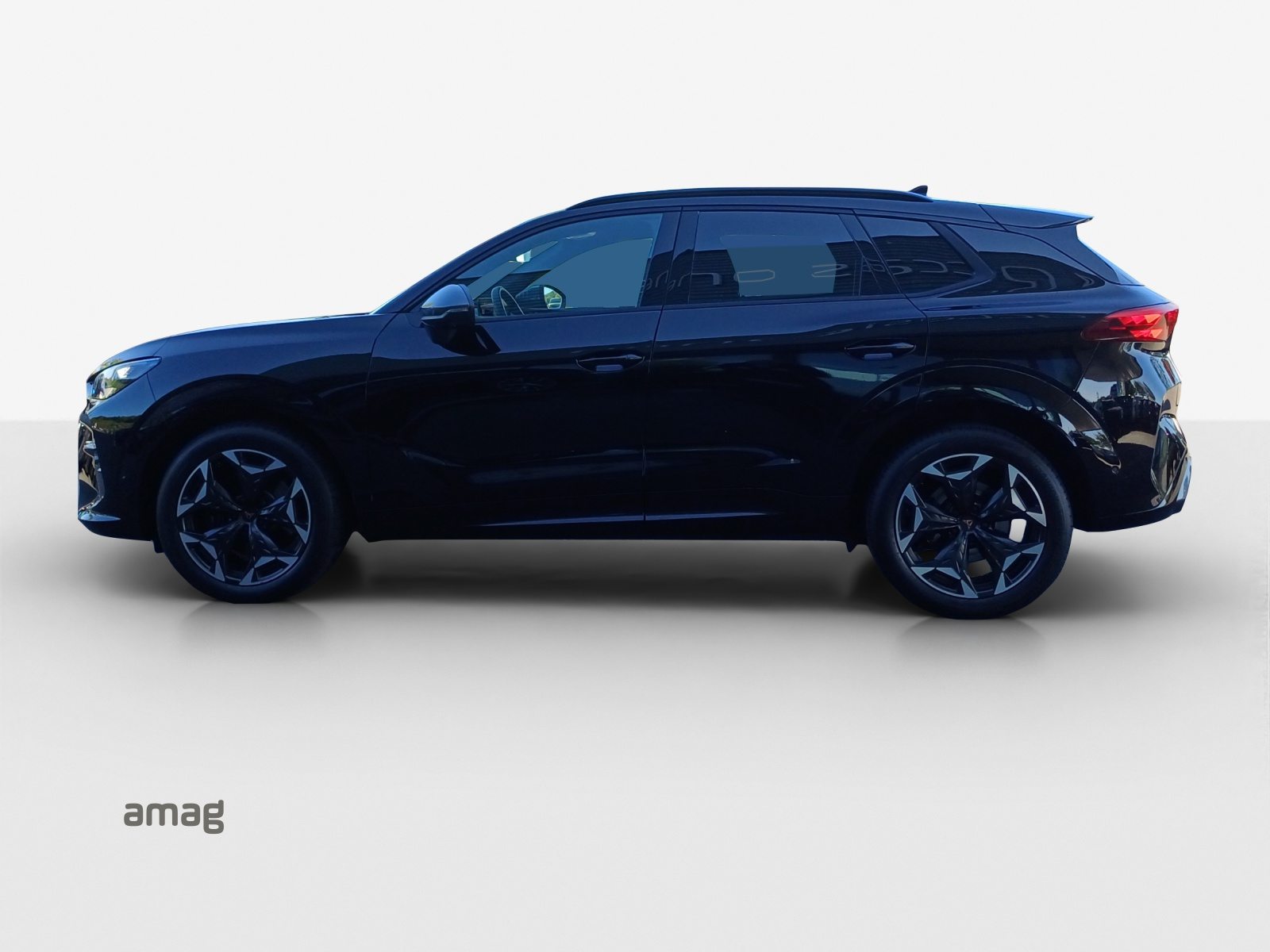 CUPRA TERRAMAR 4DRIVE, Benzina, Occasioni / Usate, Automatico - 2