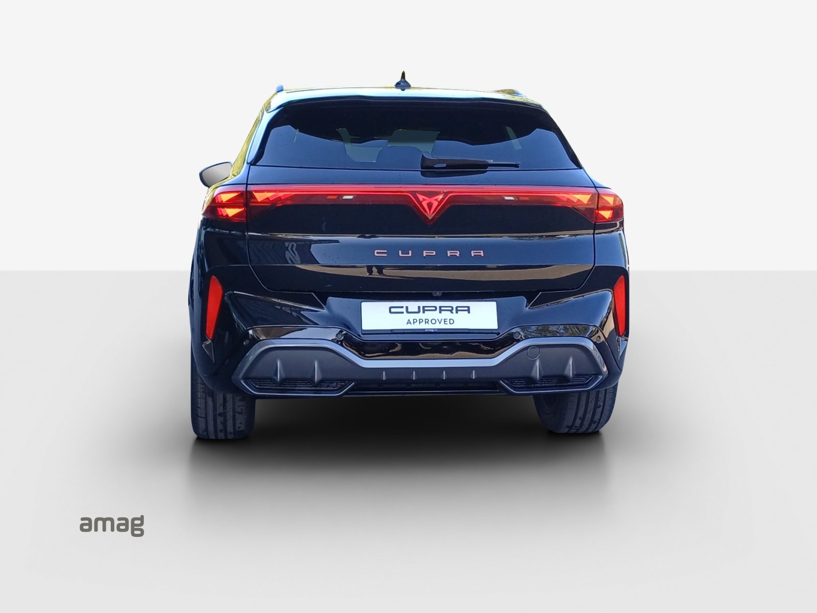 CUPRA TERRAMAR 4DRIVE, Benzina, Occasioni / Usate, Automatico - 4