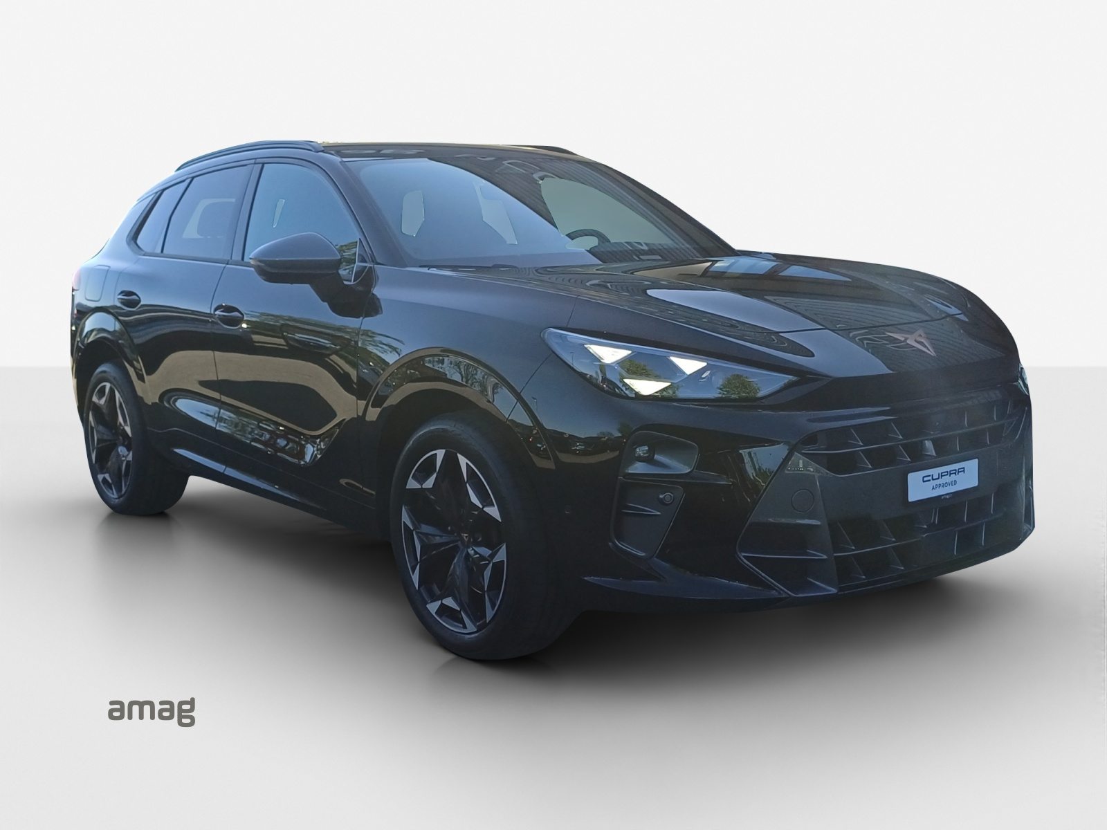 CUPRA TERRAMAR 4DRIVE, Benzina, Occasioni / Usate, Automatico - 6