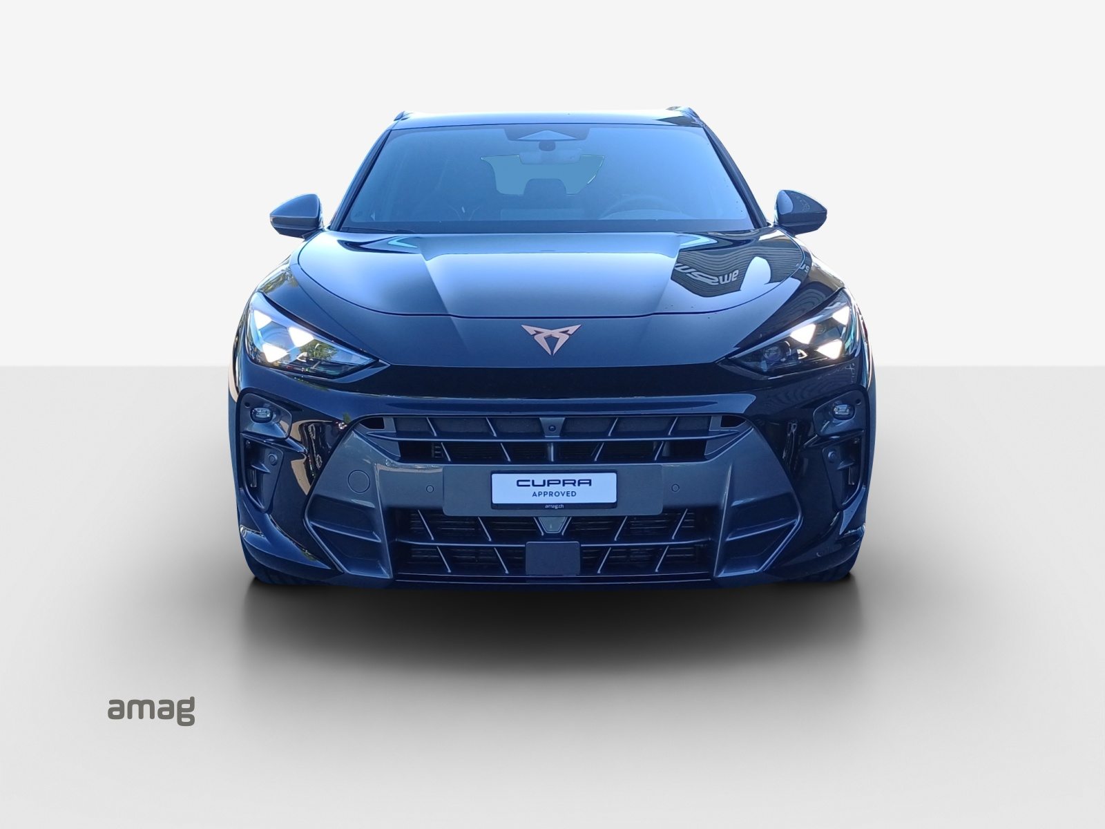 CUPRA TERRAMAR 4DRIVE, Benzina, Occasioni / Usate, Automatico - 7