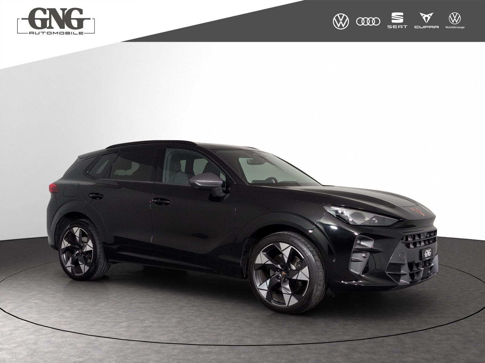CUPRA TERRAMAR 4DRIVE, Benzina, Occasioni / Usate, Automatico - 4