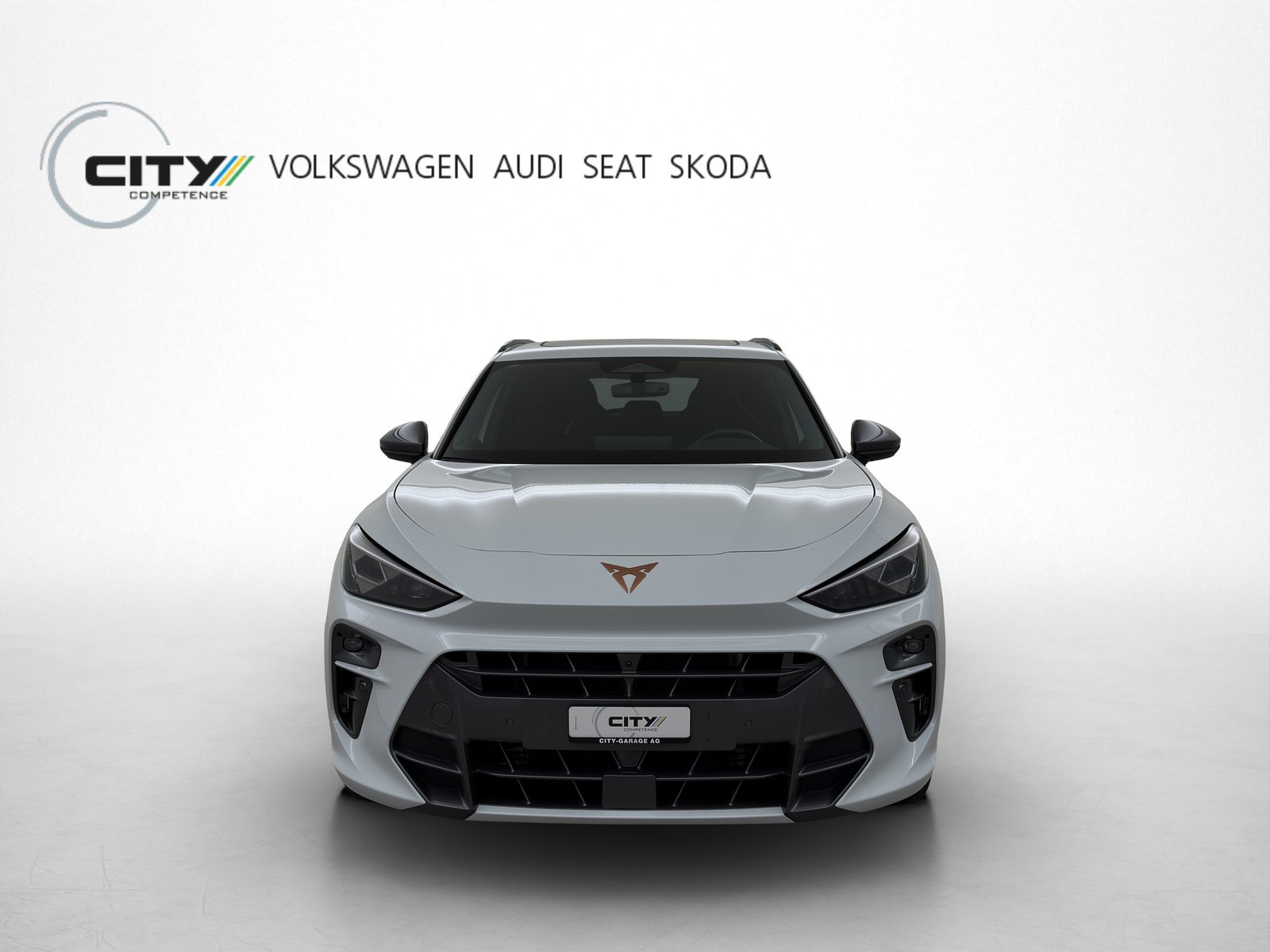 CUPRA Terramar 2.0 TSI VZ 4Drive DSG, Benzina, Occasioni / Usate, Automatico - 5