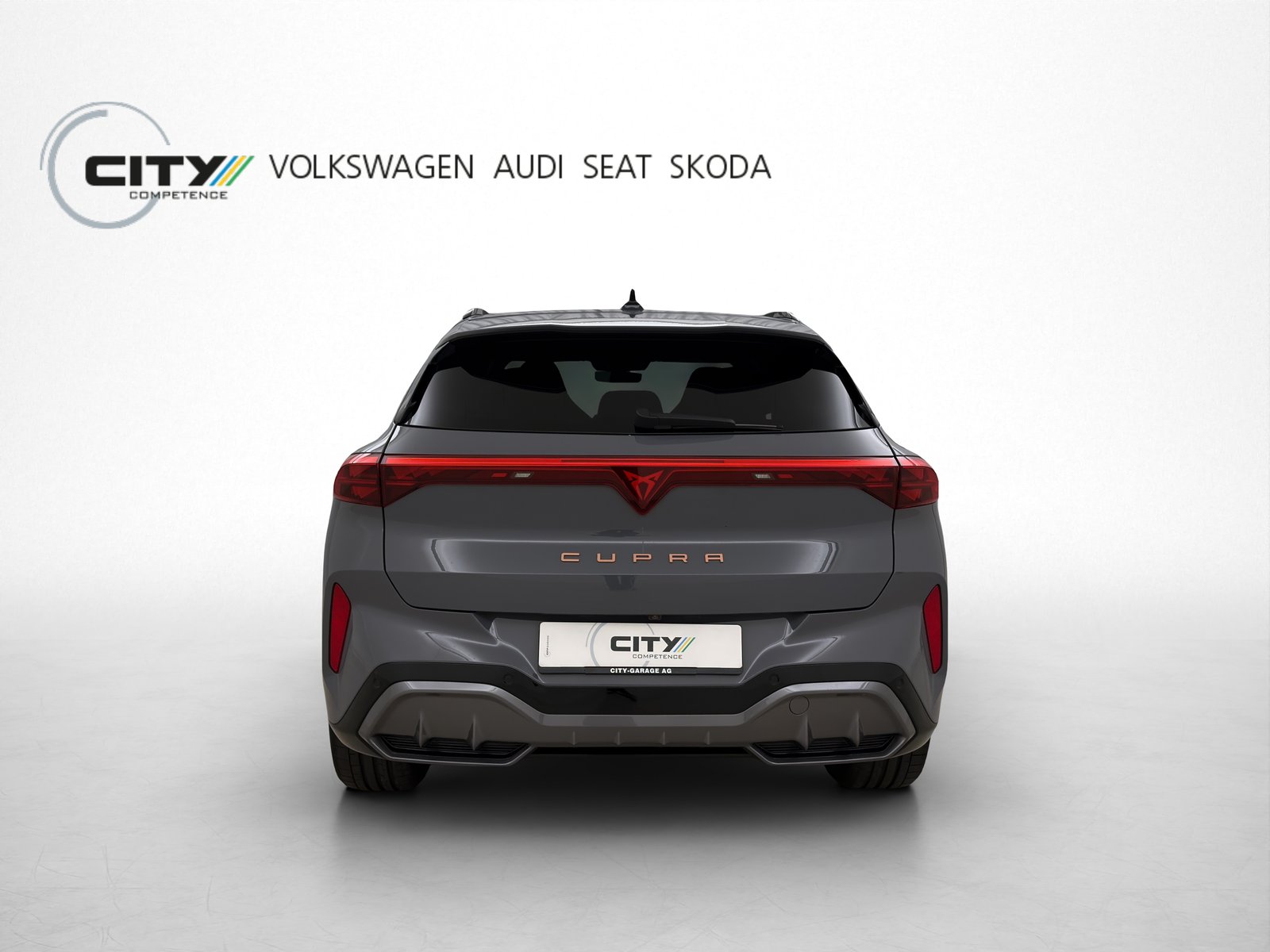 CUPRA Terramar 2.0 TSI VZ 4Drive DSG, Benzina, Occasioni / Usate, Automatico - 6