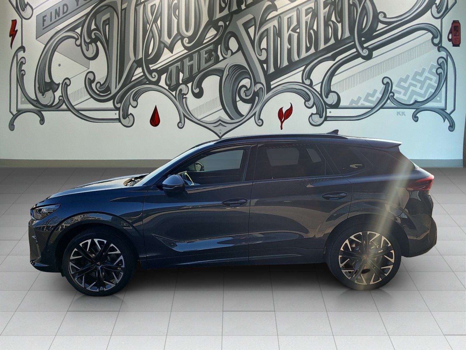 CUPRA TERRAMAR 4DRIVE, Benzina, Occasioni / Usate, Automatico - 3