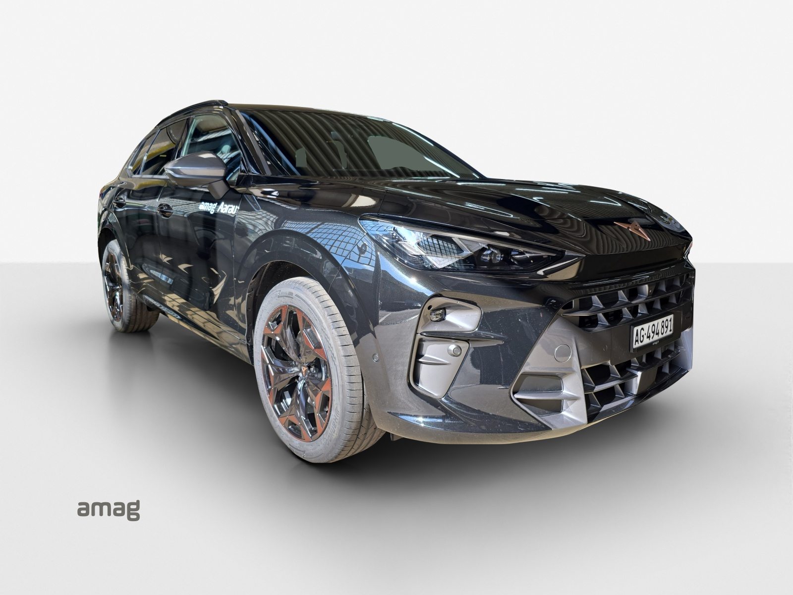 CUPRA TERRAMAR e-HYBRID, Hybride Integrale Benzina/Elettrica, Occasioni / Usate, Automatico - 6