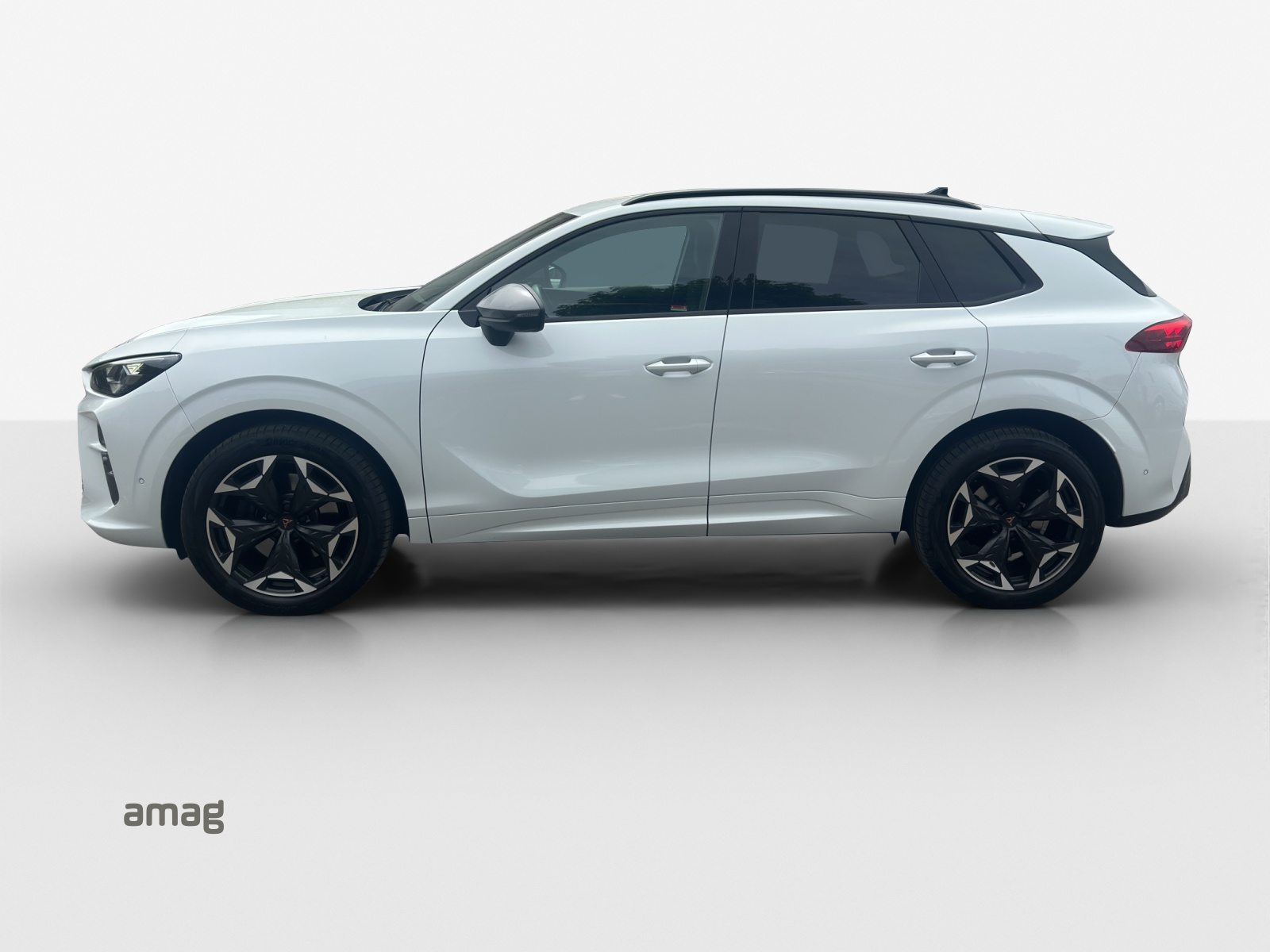 CUPRA TERRAMAR 4DRIVE, Petrol, Second hand / Used, Automatic - 2