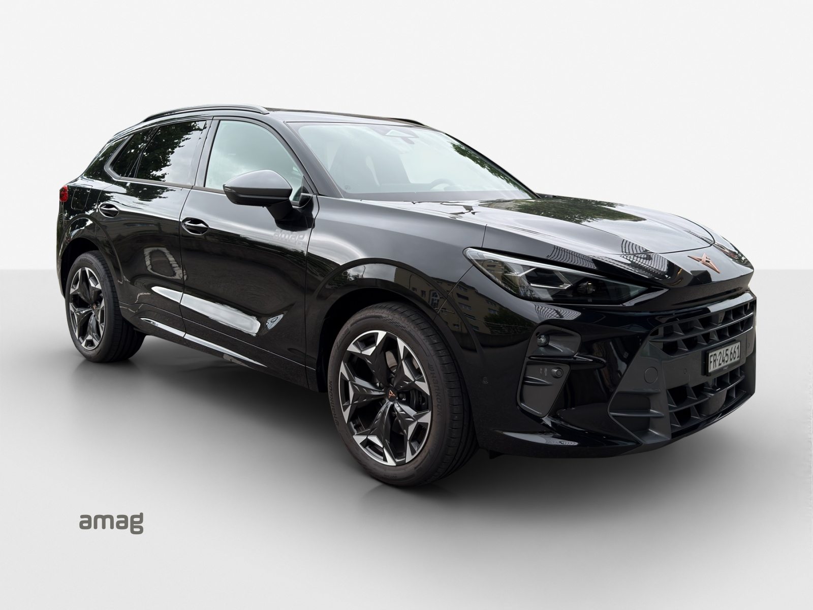 CUPRA TERRAMAR VZ e-HYBRID PRIME EDITION, Voll-Hybrid Benzin/Elektro, Occasion / Gebraucht, Automatik - 6