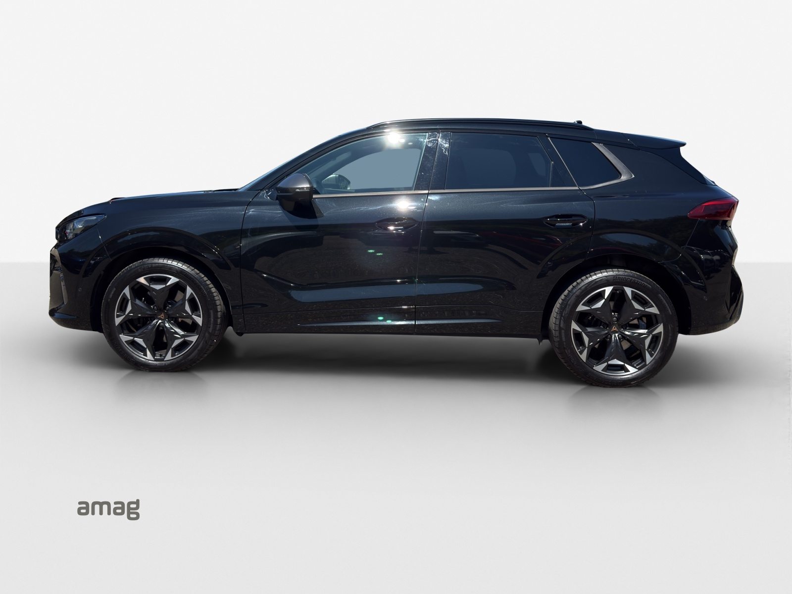 CUPRA TERRAMAR 4DRIVE, Benzina, Occasioni / Usate, Automatico - 2