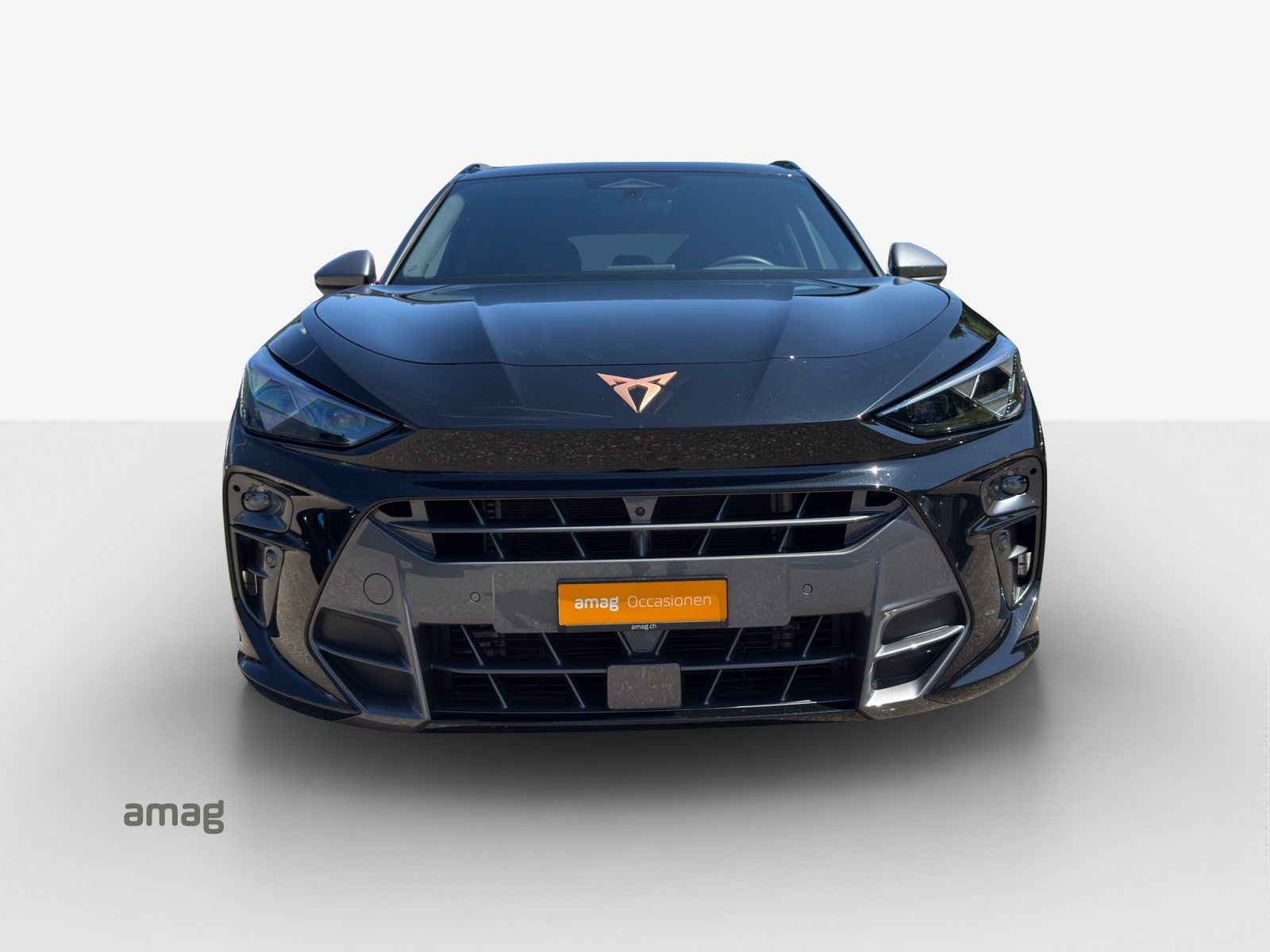 CUPRA TERRAMAR 4DRIVE, Benzina, Occasioni / Usate, Automatico - 7