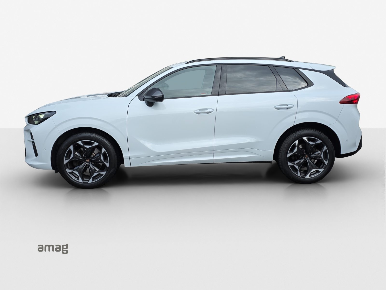 CUPRA TERRAMAR 4DRIVE, Benzina, Occasioni / Usate, Automatico - 2
