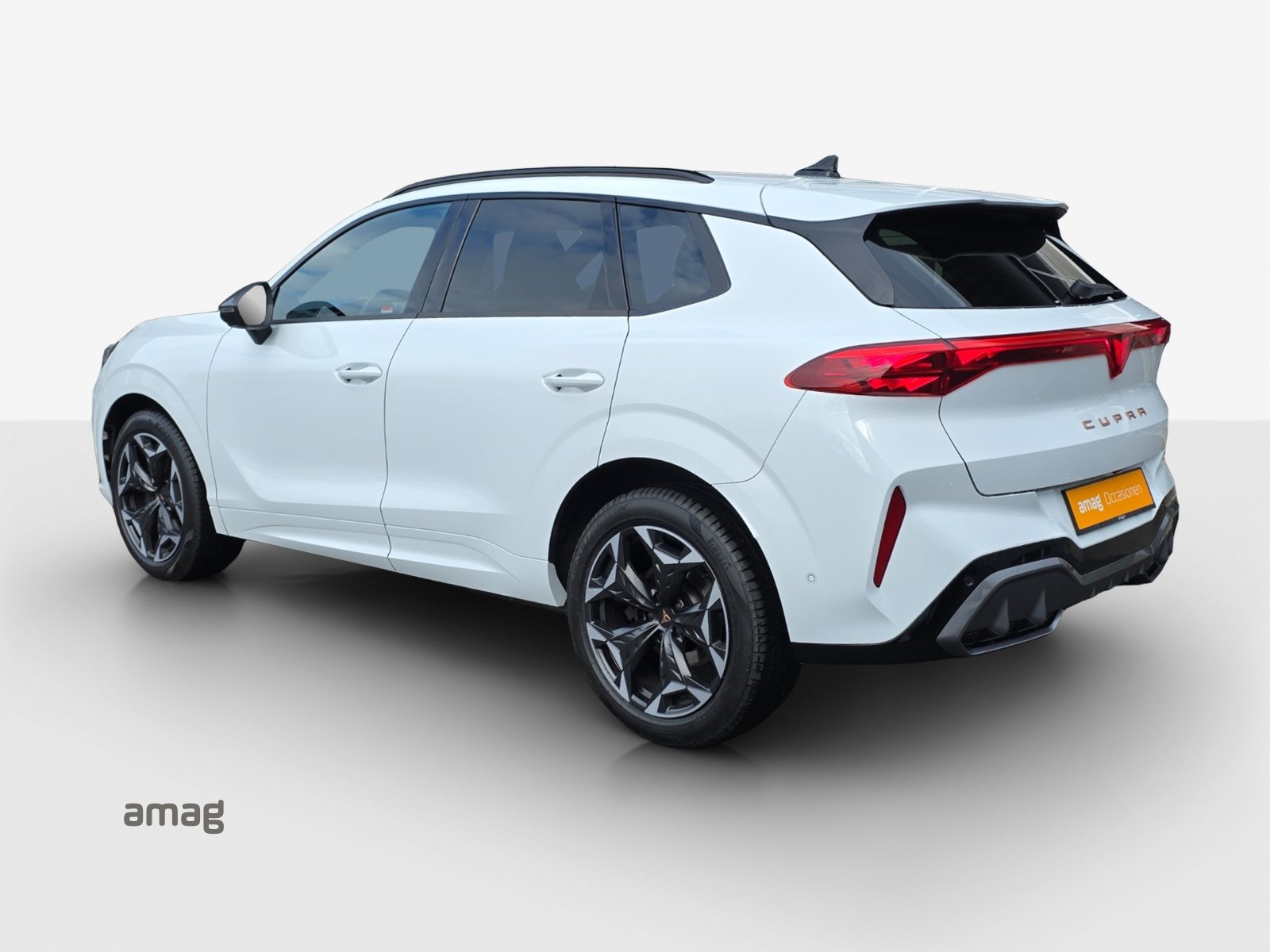 CUPRA TERRAMAR 4DRIVE, Benzina, Occasioni / Usate, Automatico - 3
