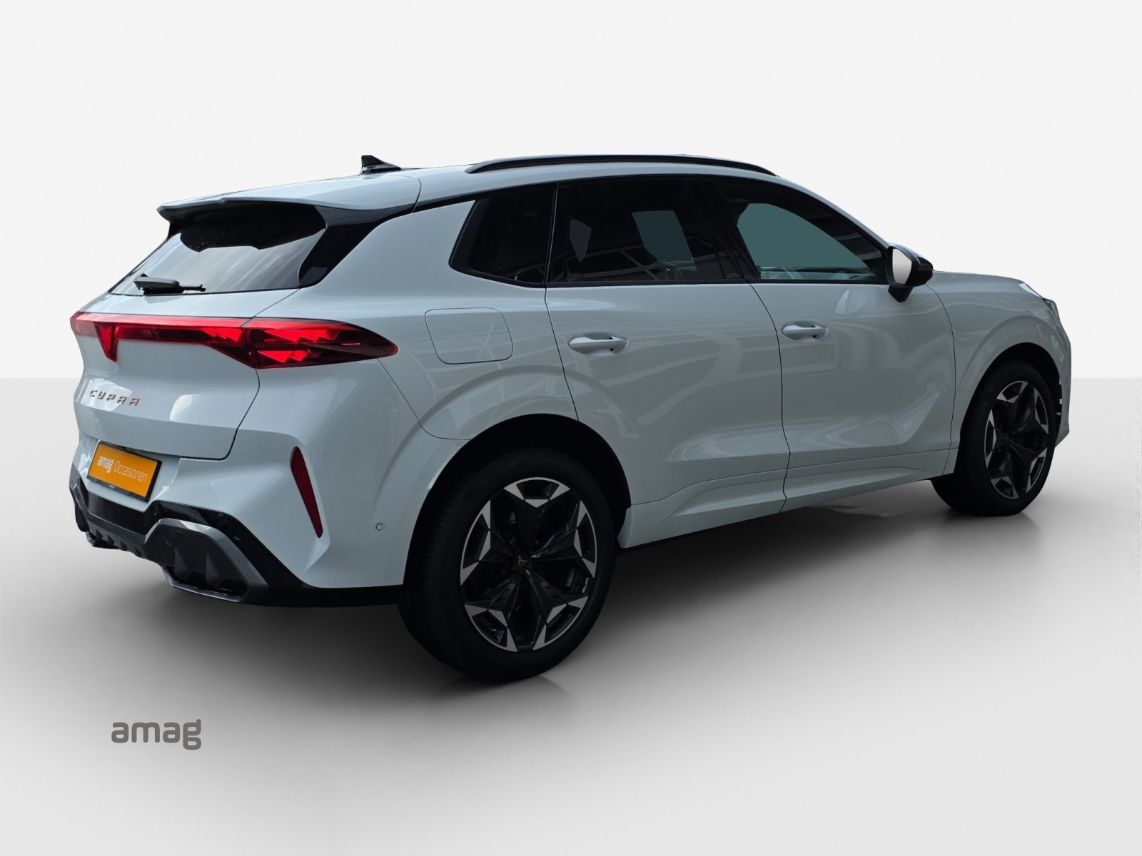 CUPRA TERRAMAR 4DRIVE, Benzina, Occasioni / Usate, Automatico - 5
