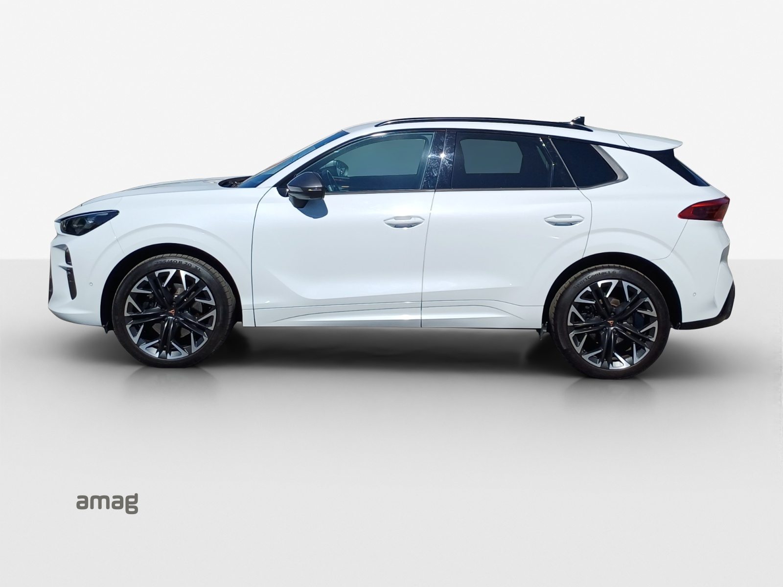CUPRA TERRAMAR 4DRIVE, Benzina, Occasioni / Usate, Automatico - 2