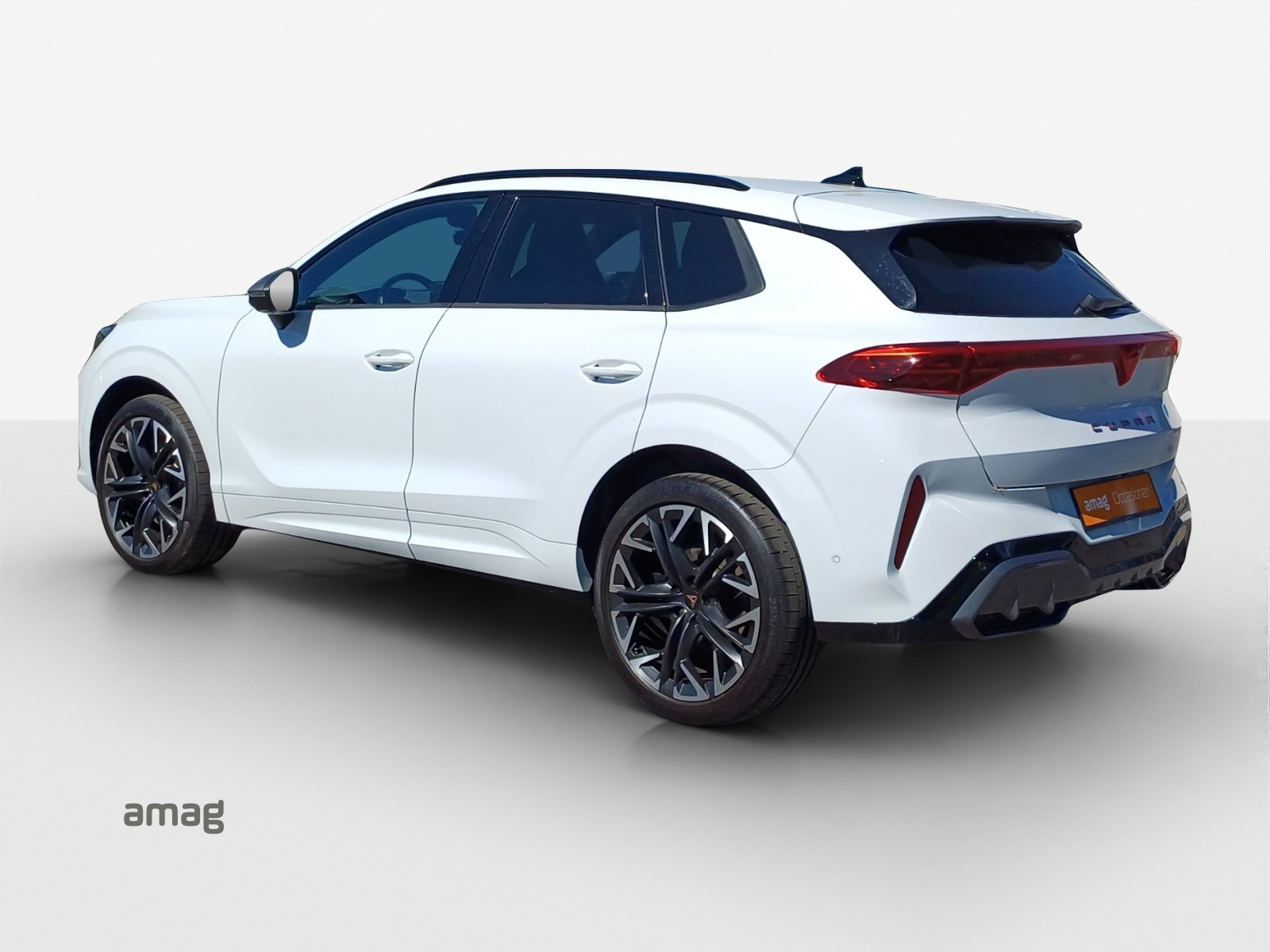 CUPRA TERRAMAR 4DRIVE, Benzina, Occasioni / Usate, Automatico - 3
