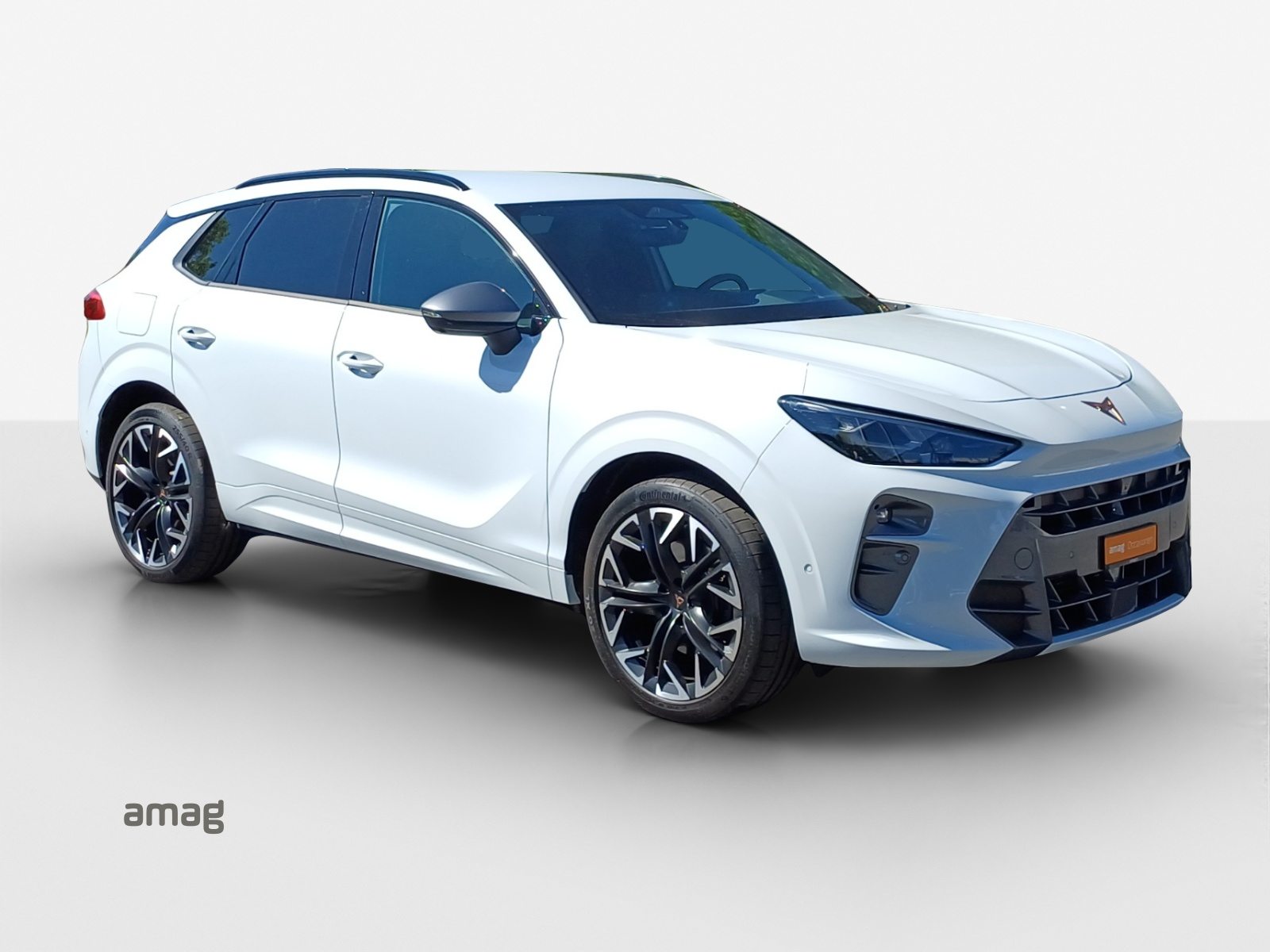 CUPRA TERRAMAR 4DRIVE, Benzina, Occasioni / Usate, Automatico - 6