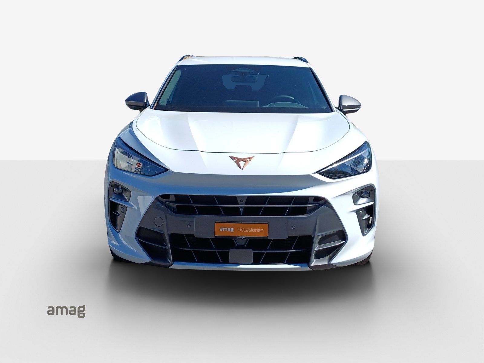 CUPRA TERRAMAR 4DRIVE, Benzina, Occasioni / Usate, Automatico - 7